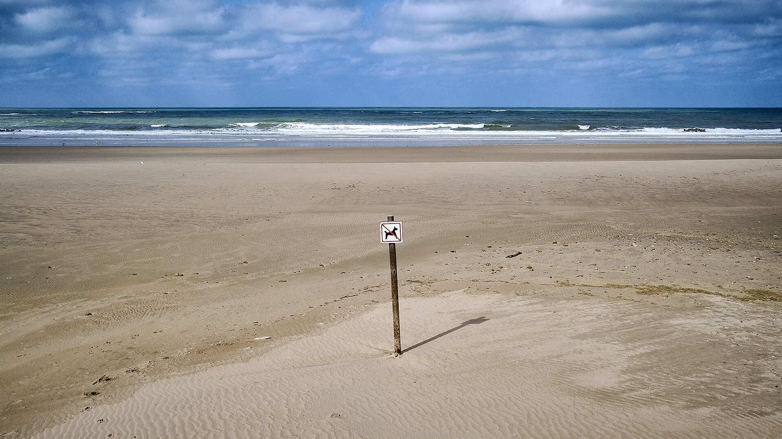 Estado de las playas de la capital