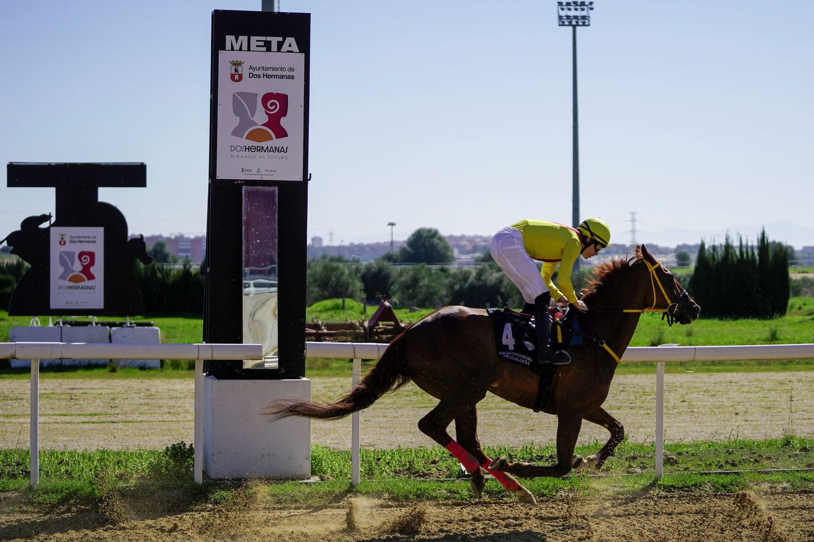 Las fotos del Premio Diario de Sevilla en el hipódromo de Dos Hermanas