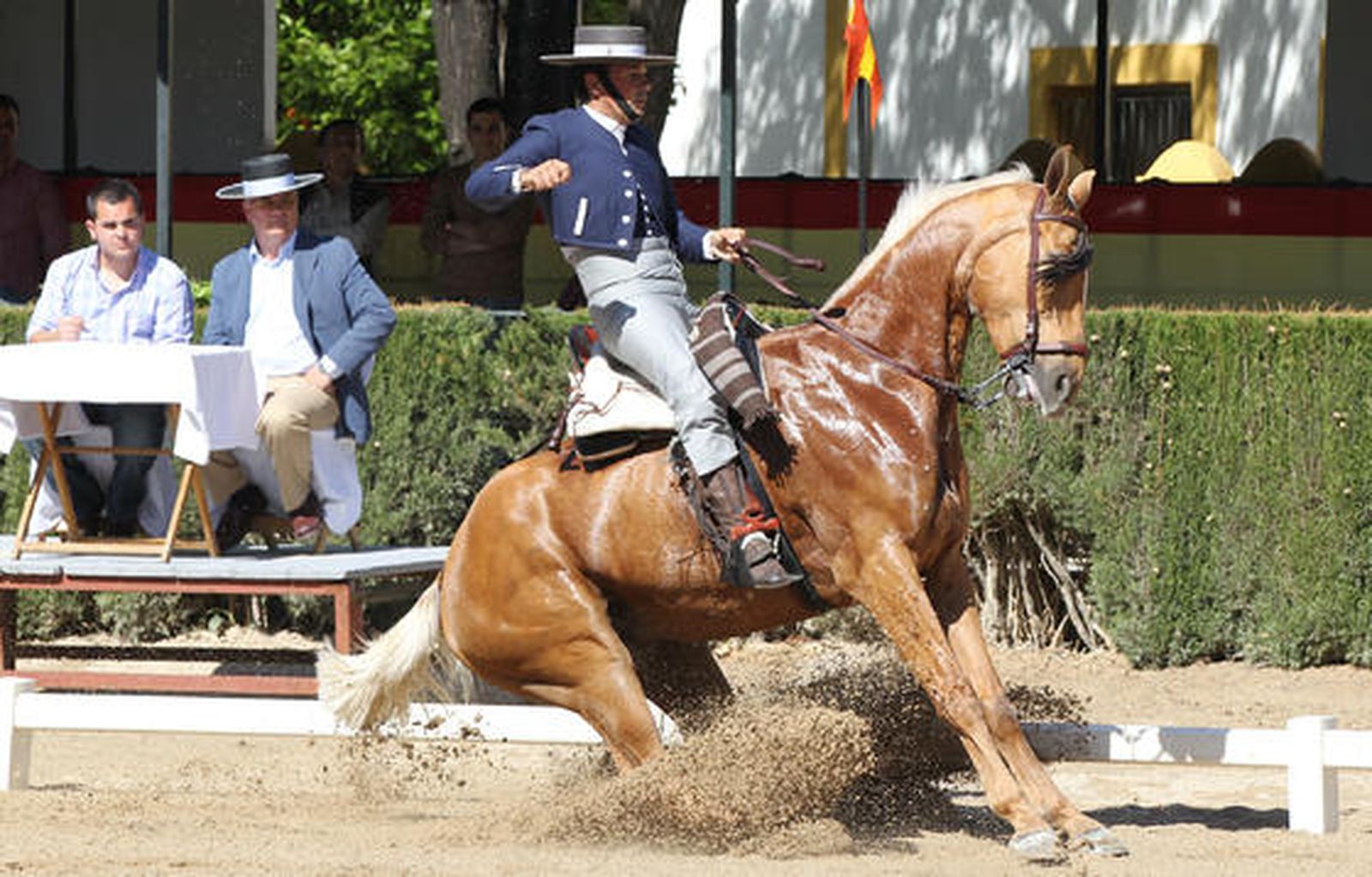 Espectáculo. Exhibiciones ecuestres en Sementales, para no perdérselo.

Foto: Miguel Angel Gonzalez