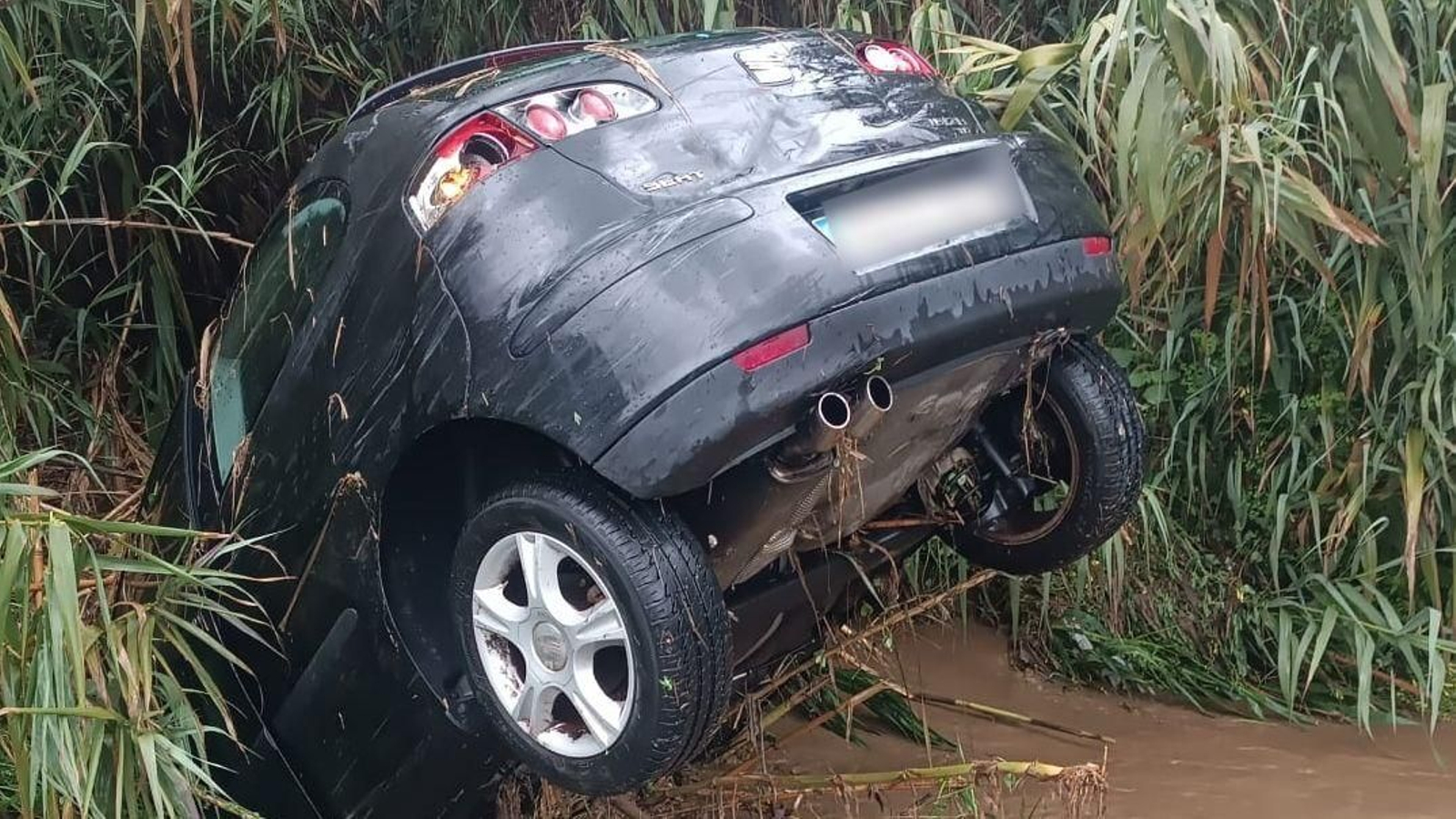 Coche incrustrado entre las cañas de Benamocarra