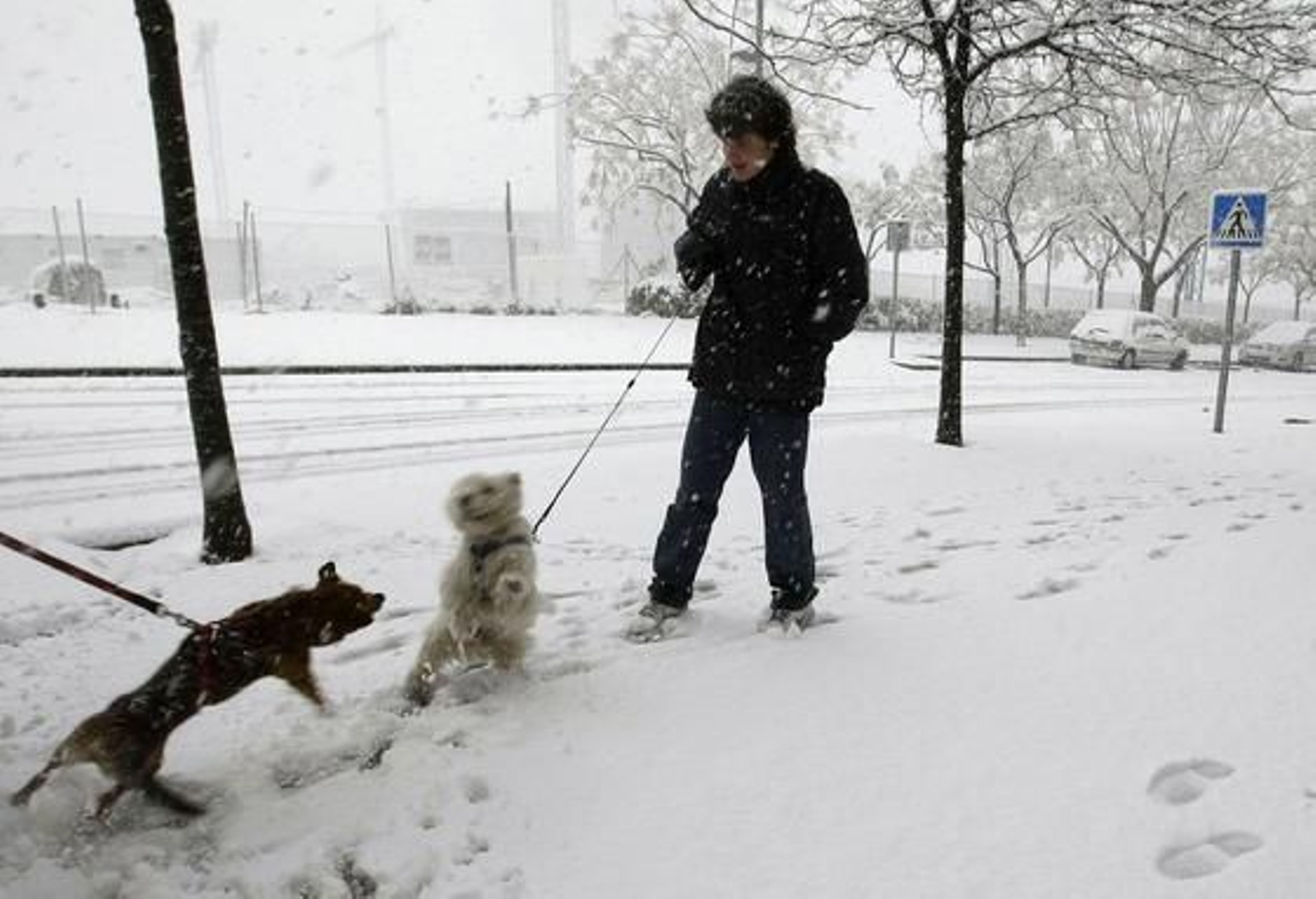 Una intensa nevada cubre Barcelona y a casi toda Cataluña. /EFE · AFP Photo · Reuters