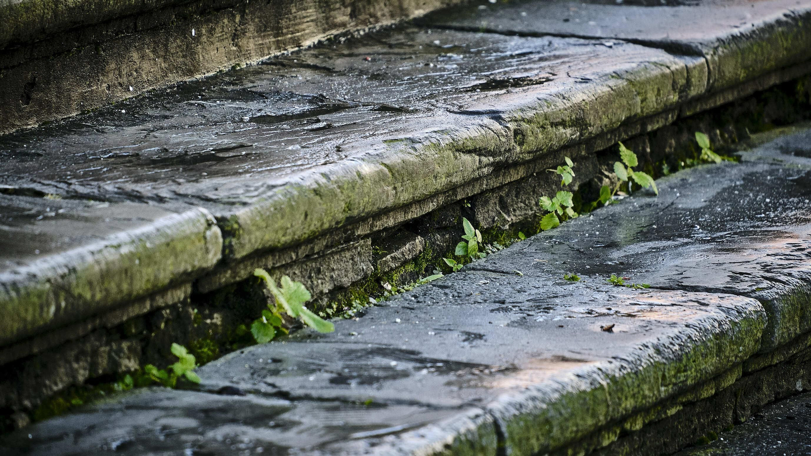 Estado del pavimento en plaza de la Catedral
