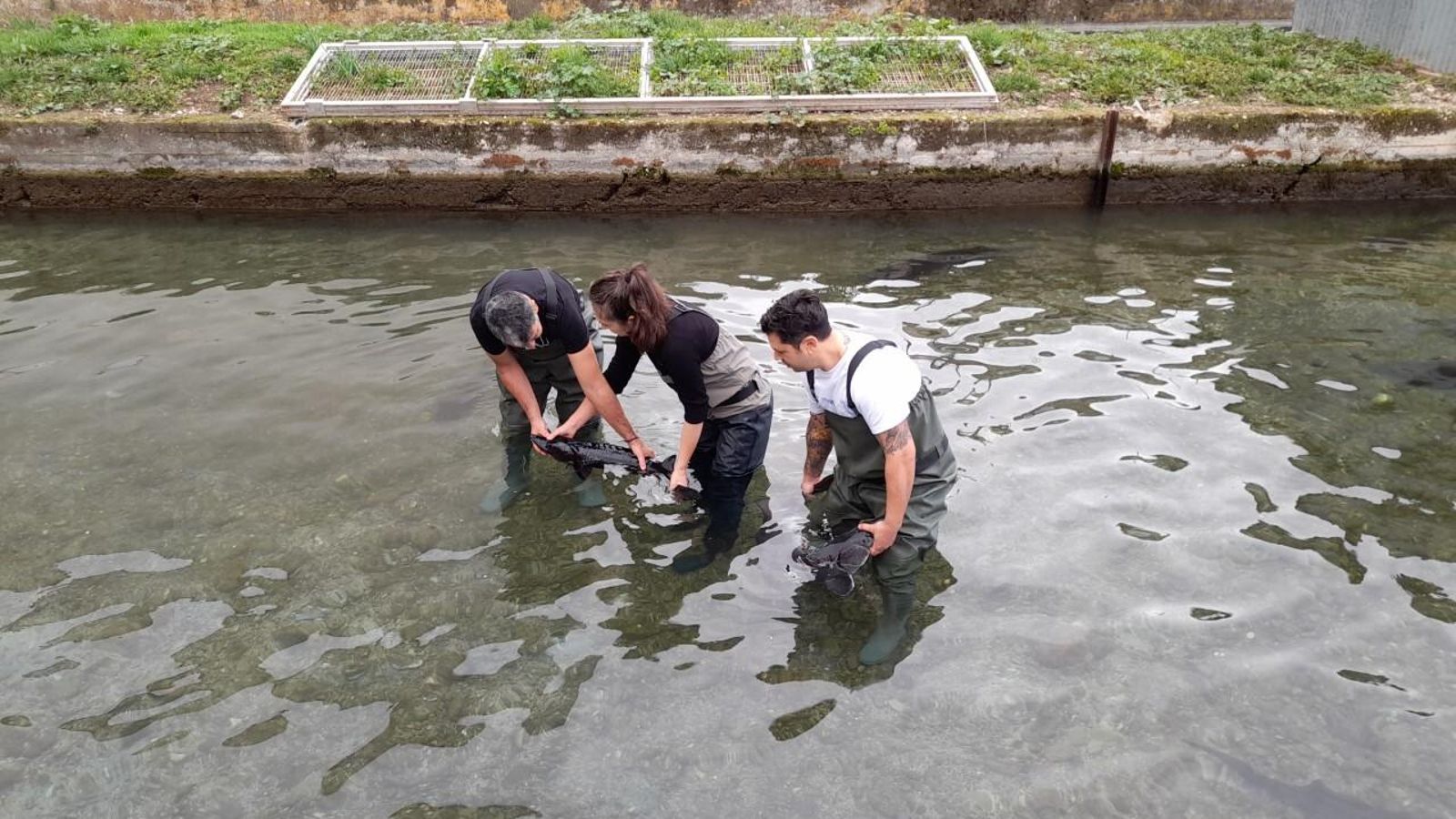 Roncero, Gallego y la directiva de Osborne María Castro