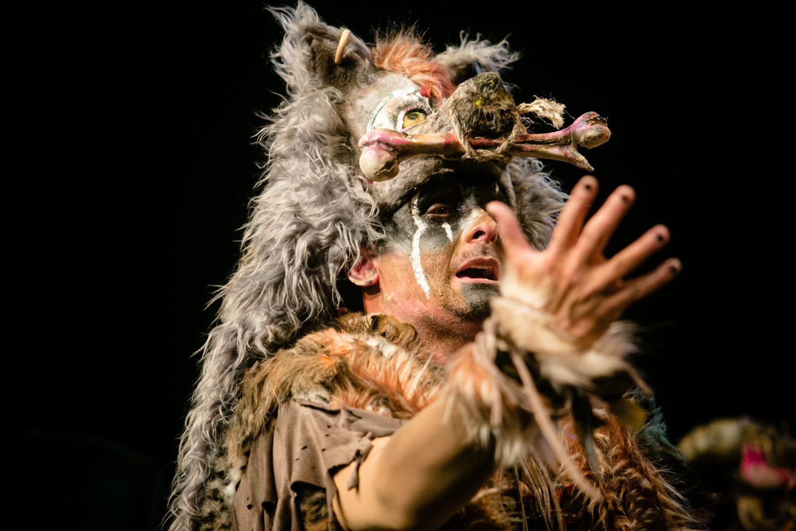 La comparsa de Martinez Ares "Los carnivales"