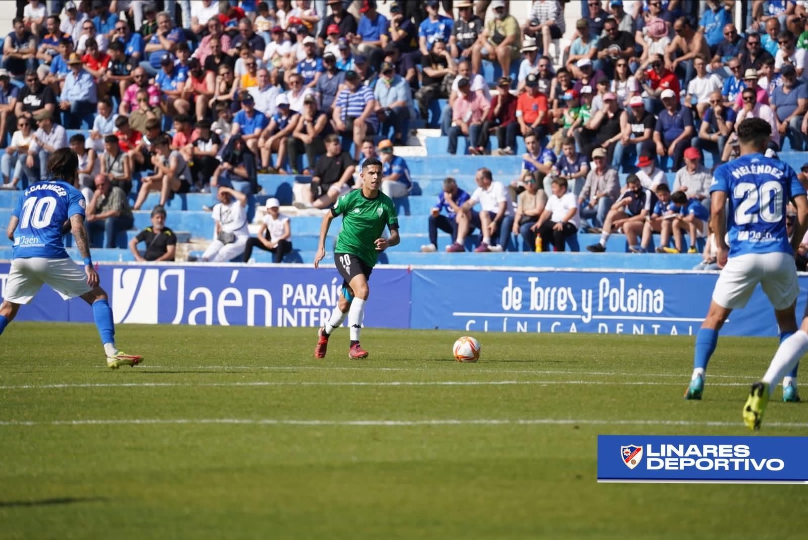 Bicho alza la cabeza buscando opciones en presencia de dos adversarios.