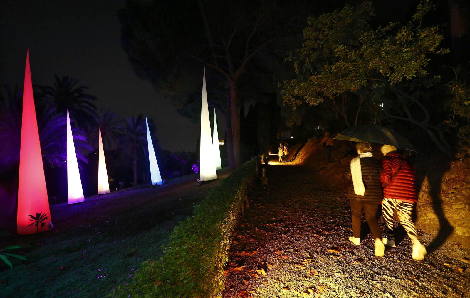 Las luces del Jardín Botánico de Málaga, en fotos
