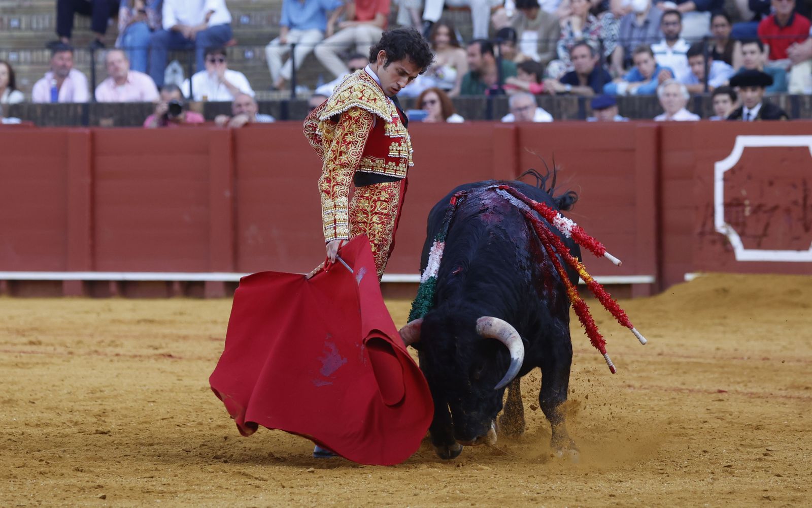 Las imágenes de la novillada en la Maestranza