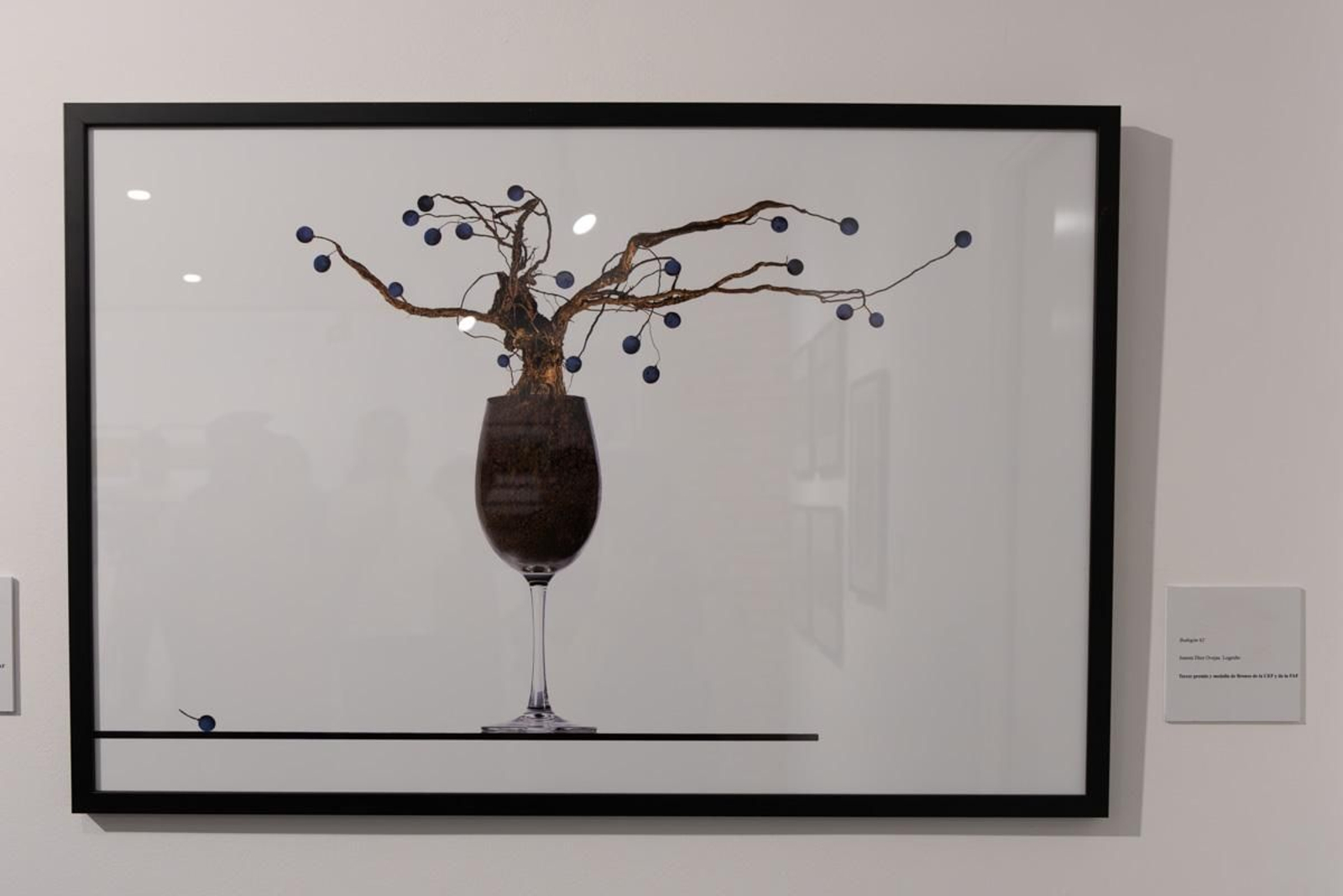 Exposición La Tierra, corazón de la vida, en imágenes