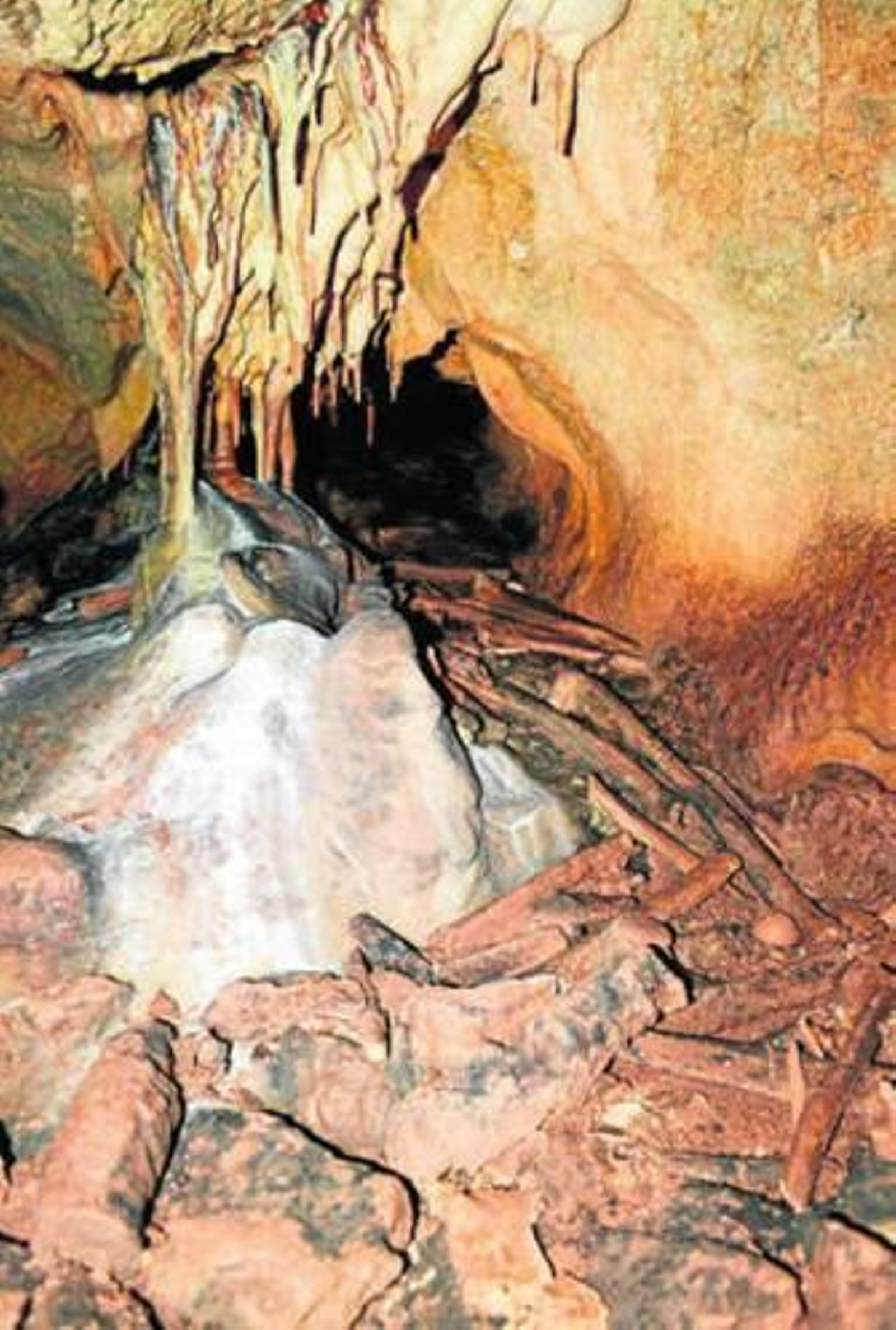 Necrópolis. Son muchos los huesos humanos hallados en las galerías de la Cueva Prehistórica de Ardales. Un cráneo prehistórico y la mandíbula de una mujer prehistórica encontrada en las galerías bajas de la cueva son algunos de estos restos.