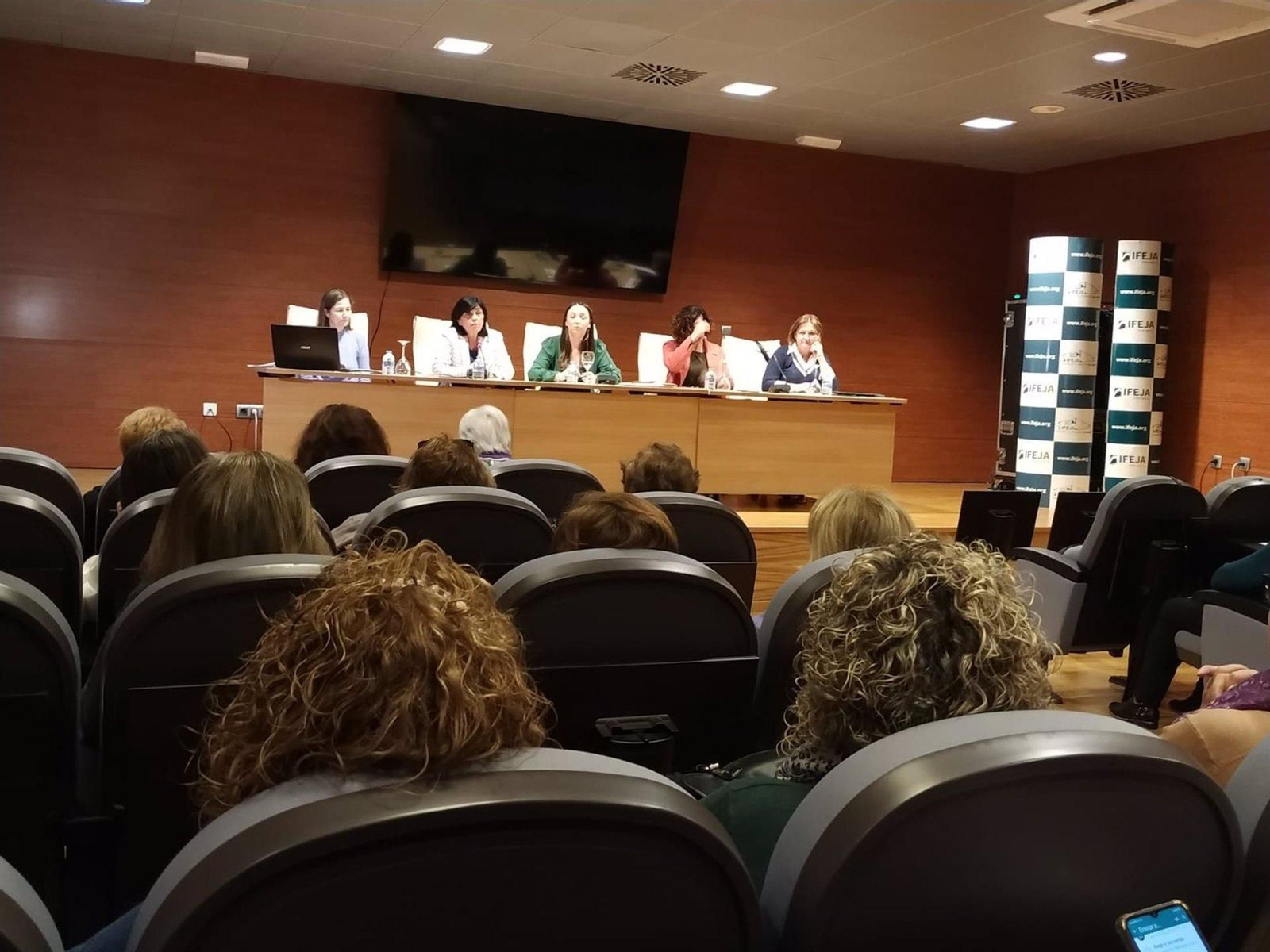 Reunión del Consejo de Igualdad y Participación de las Mujeres.