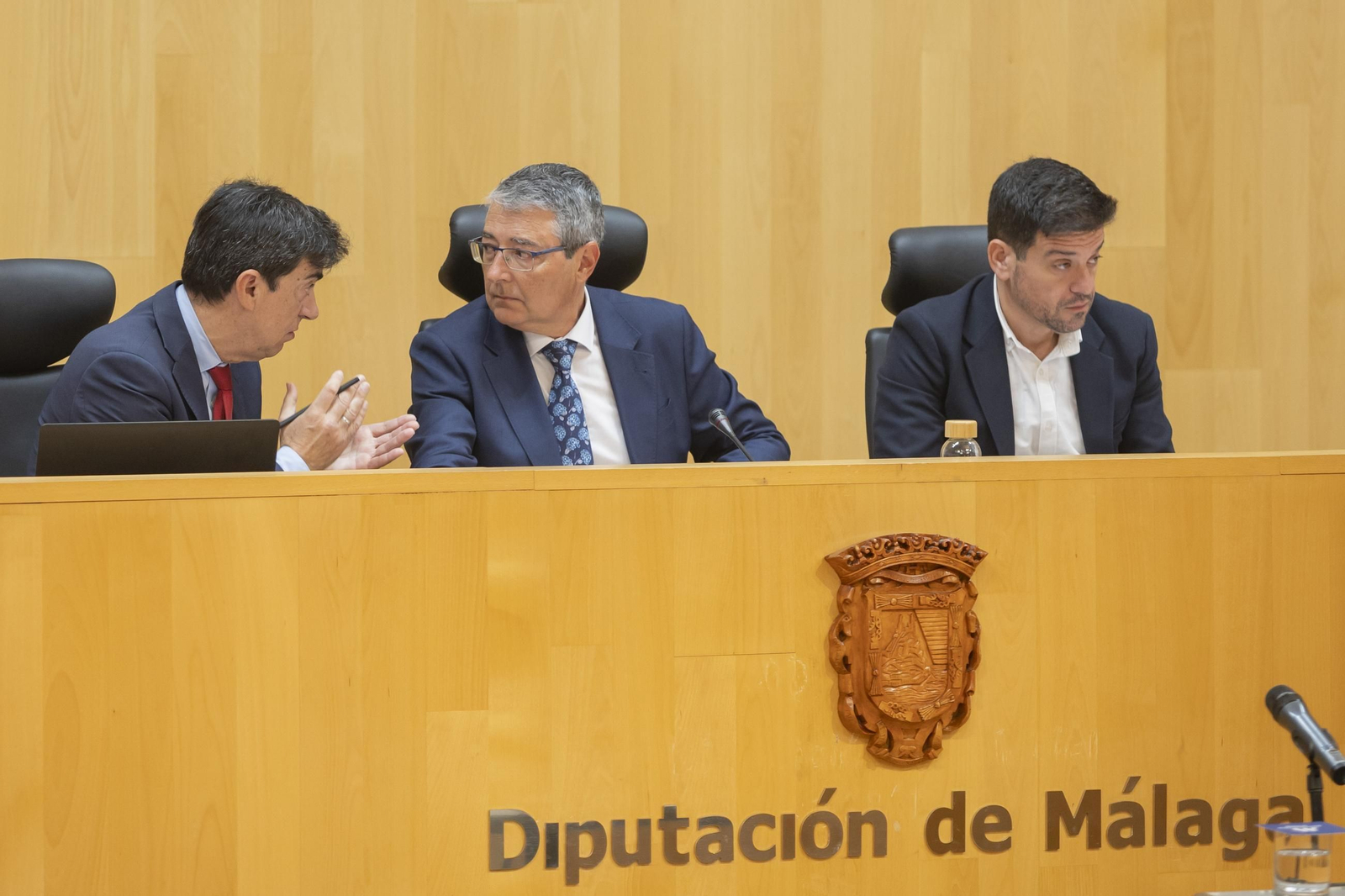Pleno de diciembre de la Diputación de Málaga.