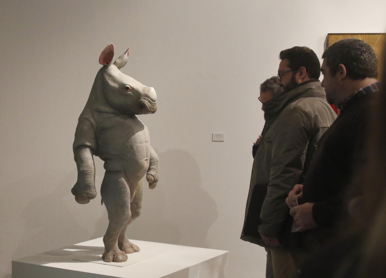 La exposición 'Islas al mediodía' de Córdoba Contemporánea, en fotografías