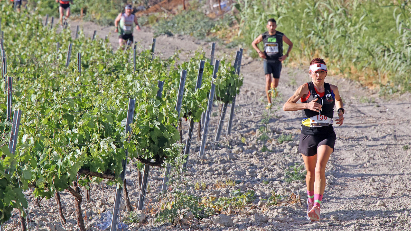 VI Sherry Maratón Jerez