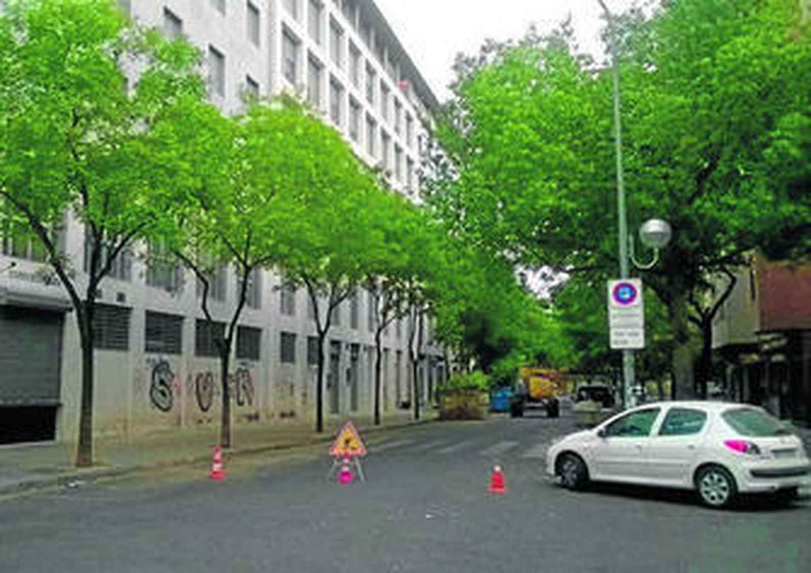 Trabajos de poda municipal en la calle Fuenteovejuna, en el distrito Nervión.