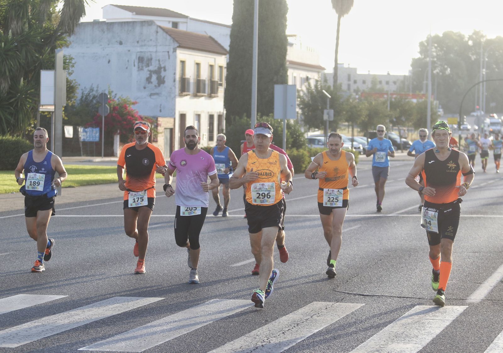 Las mejores fotos de la XXXV Media Maratón Córdoba - Almodóvar del Río