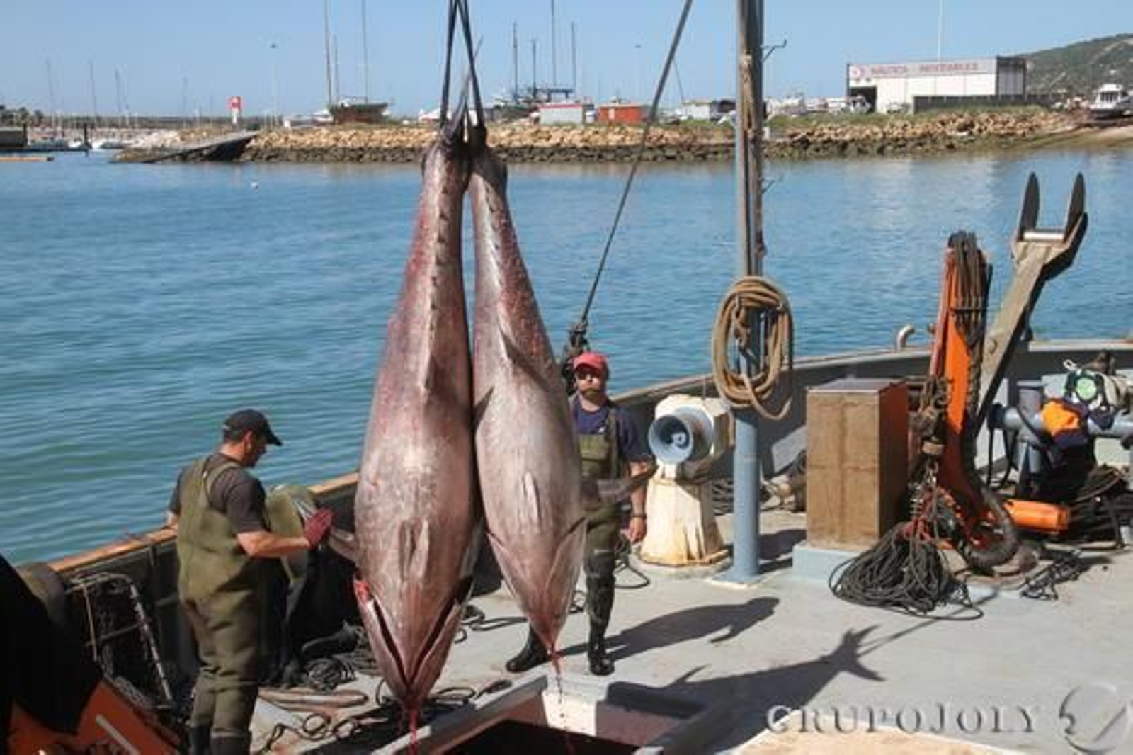 Foto: Manuel Aragon Pina