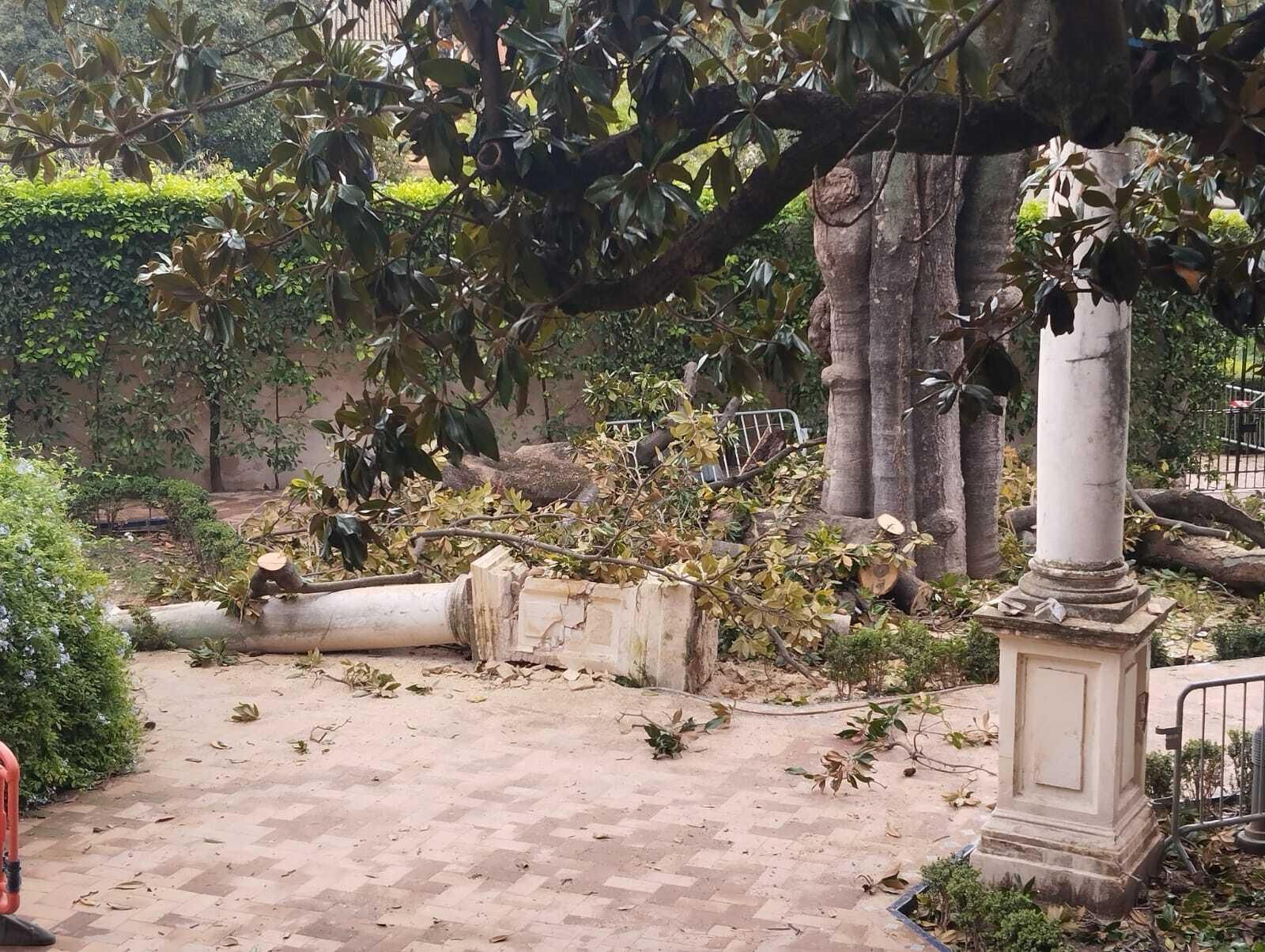 Una de las columnas del Jardín de la Danza derribada por las ramas del magnolio.