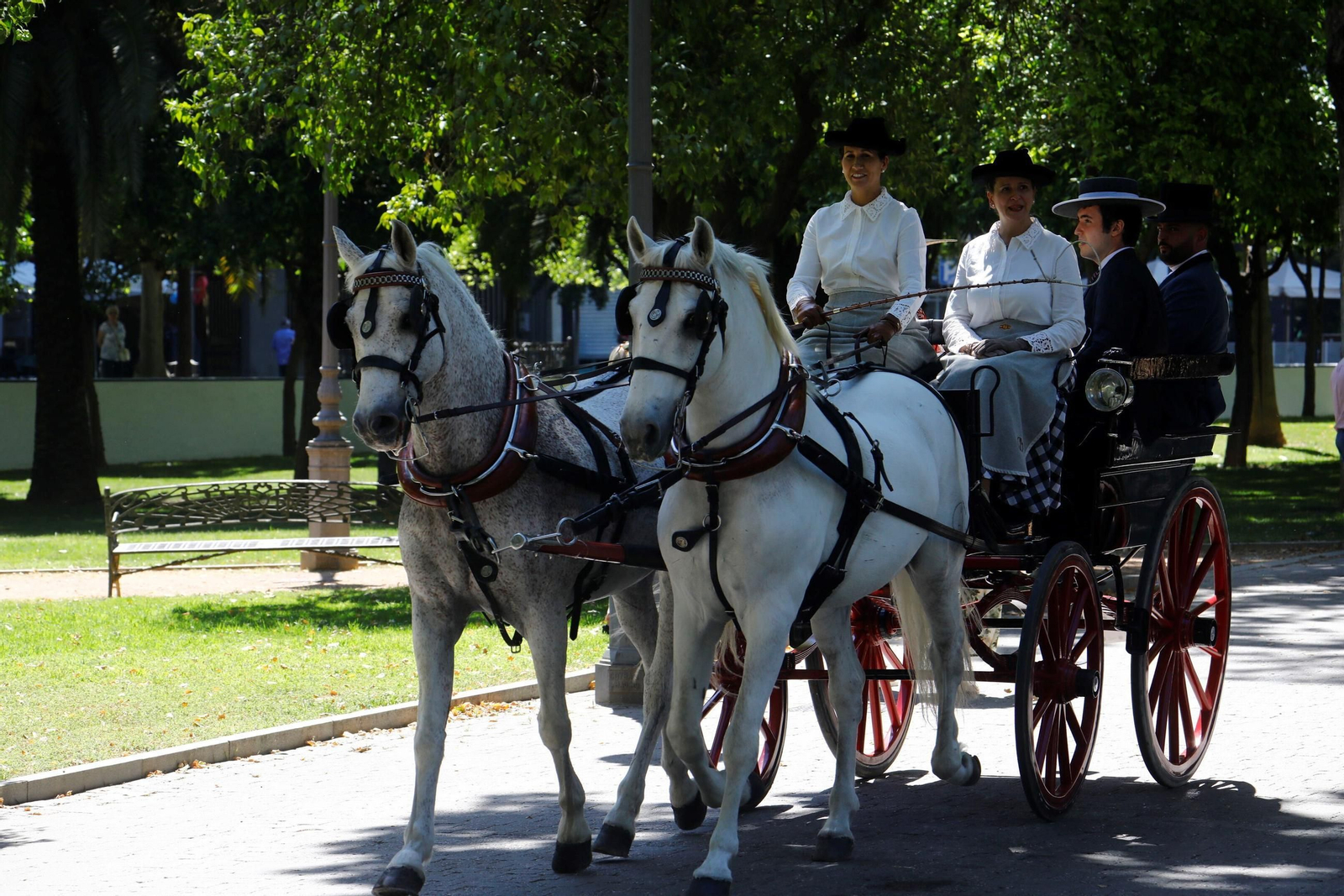 La exhibición de carruajes de tradición Nuestra Señora de la Salud, en imágenes