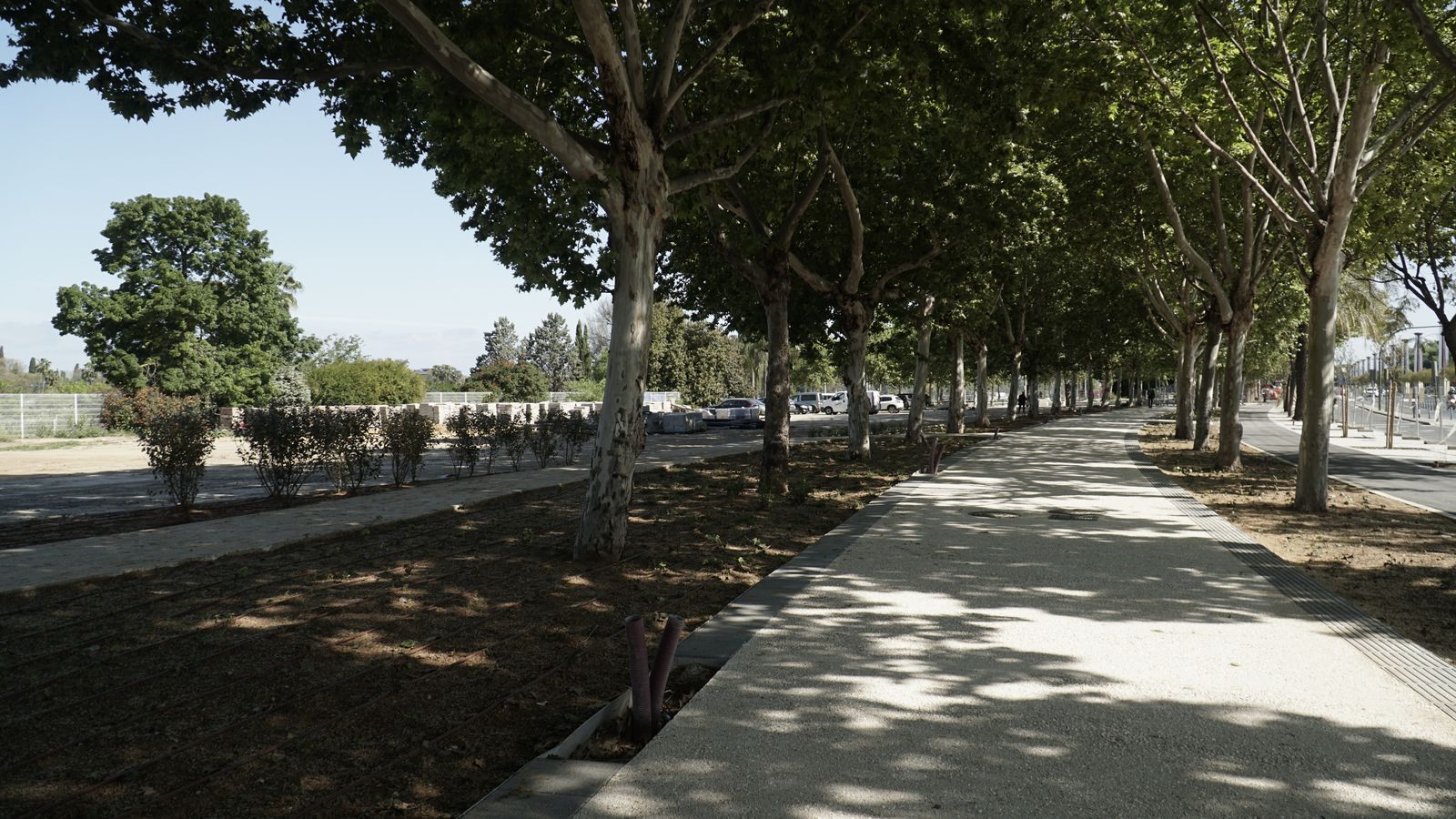 Estado actual de la obras en el primer tramo del paseo de Torneo.