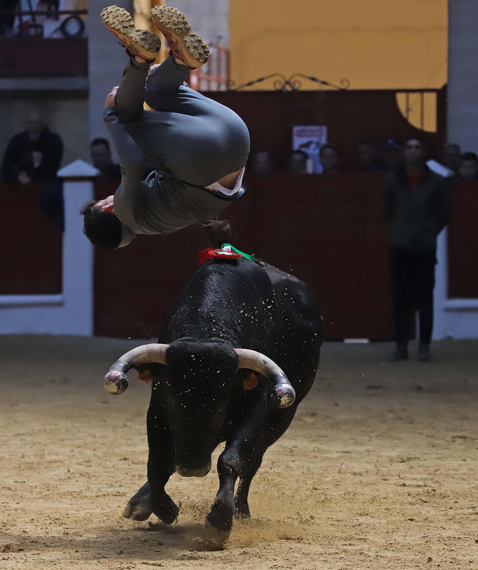 Fotos de los encierros del domingo del Toro Embolao en Los Barrios
