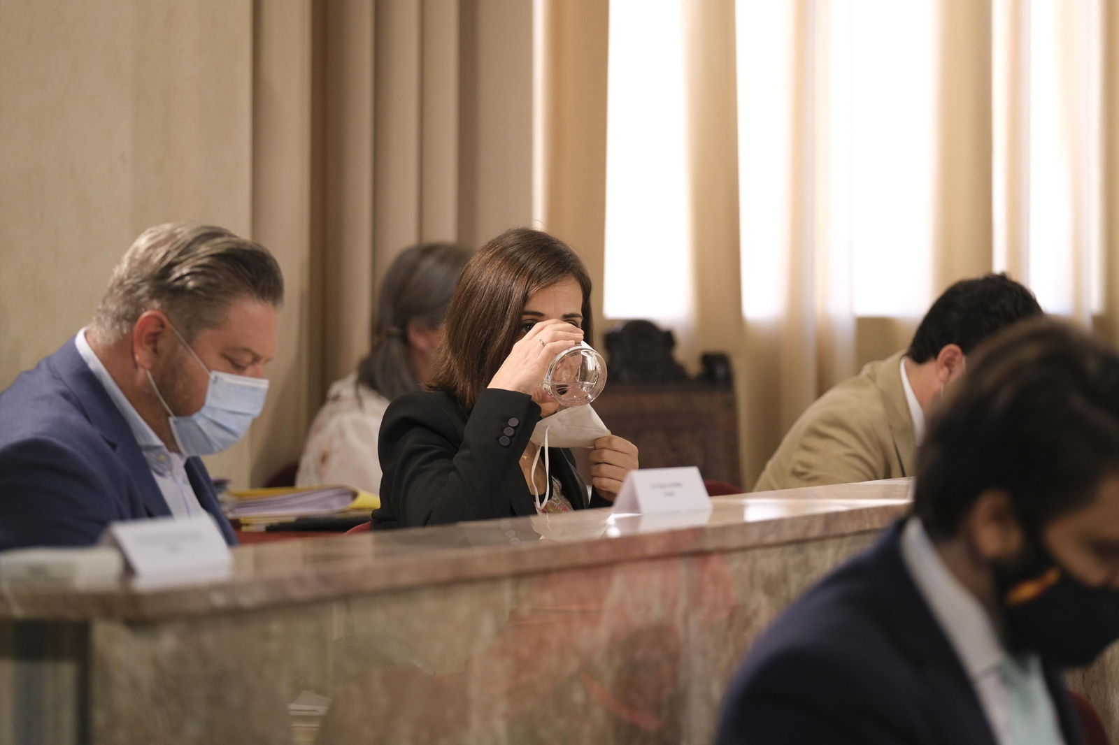 Fotogalería pleno ordinario del Ayuntamiento de Almería