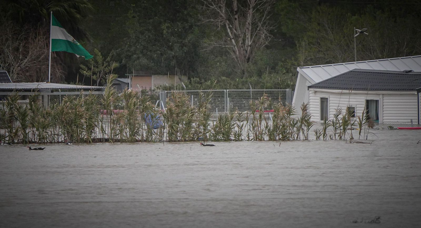 Imágenes de las zonas afectadas por la crecida del rio Guadalete en Jerez