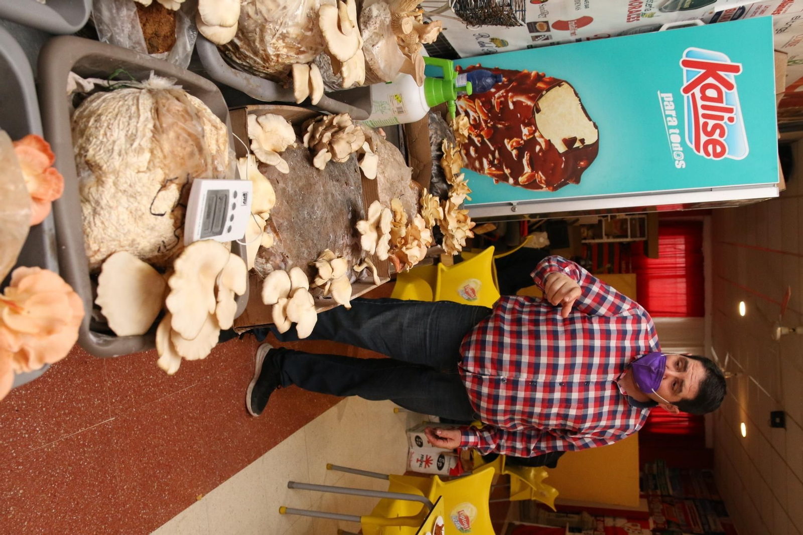 Fotogalería del Reino de las Setas