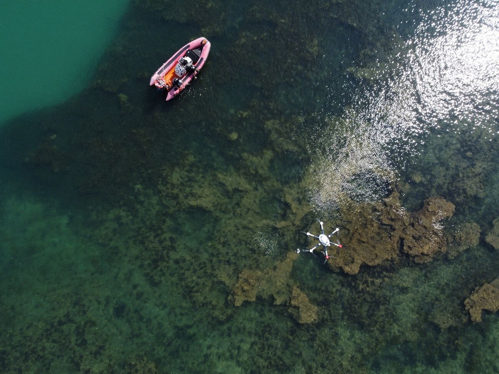 El sistema ofrece una alternativa viable a técnicas de monitoreo tradicionales.