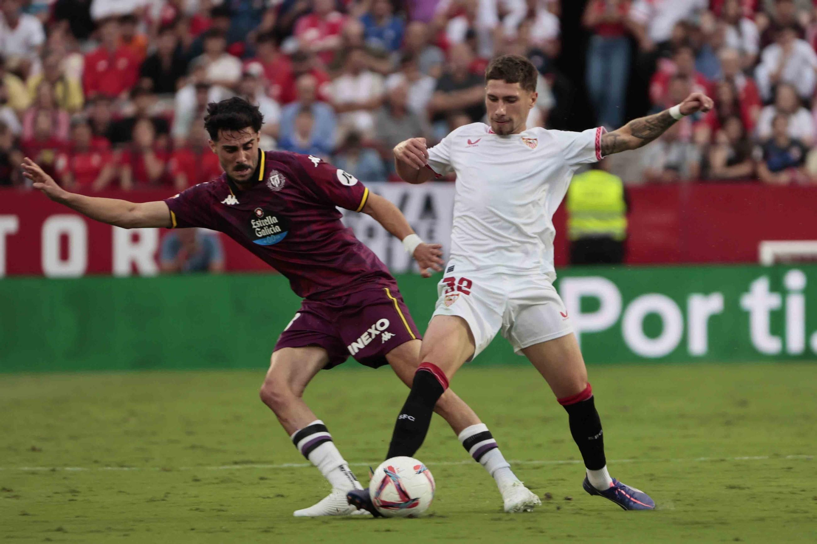 Las imágenes del Sevilla - Valladolid