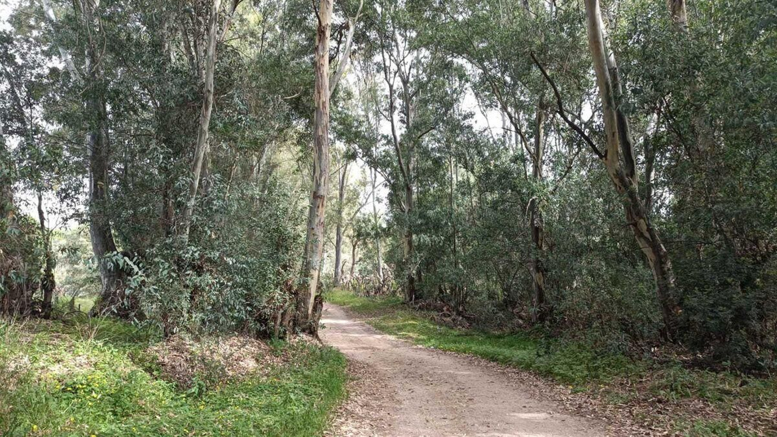 Corredor del Guadiamar y el Vado del Quema