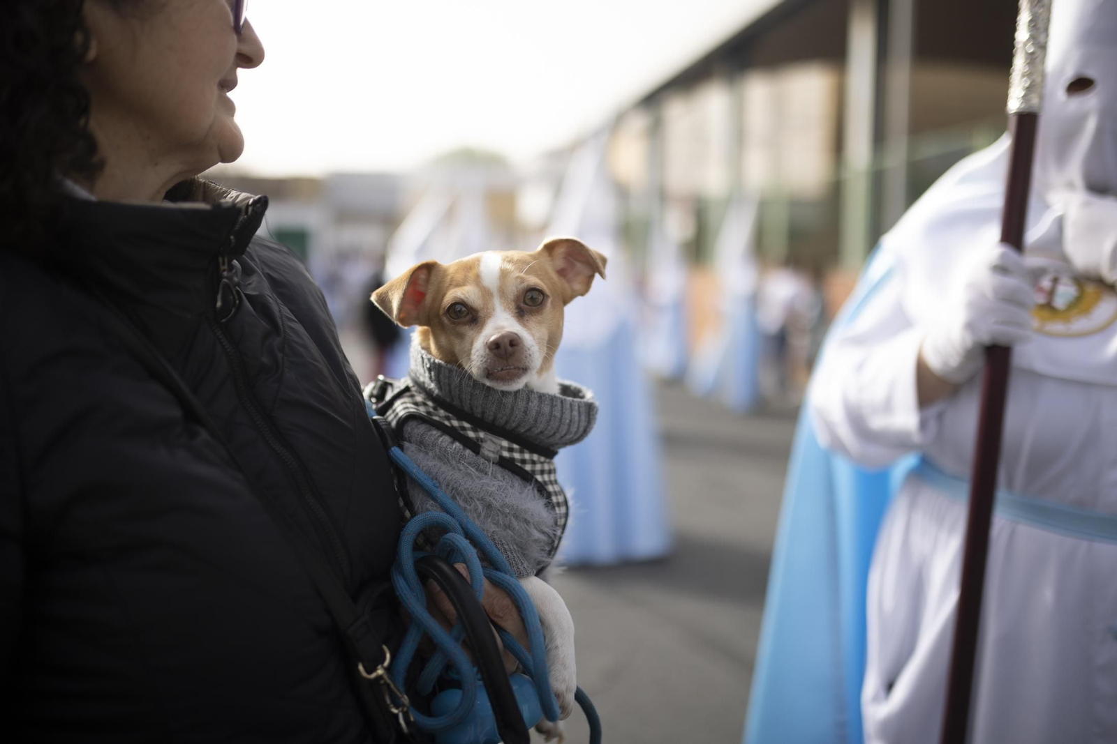 La Hermandad del Resucitado de la Semana Santa de Huelva 2023, en imágenes