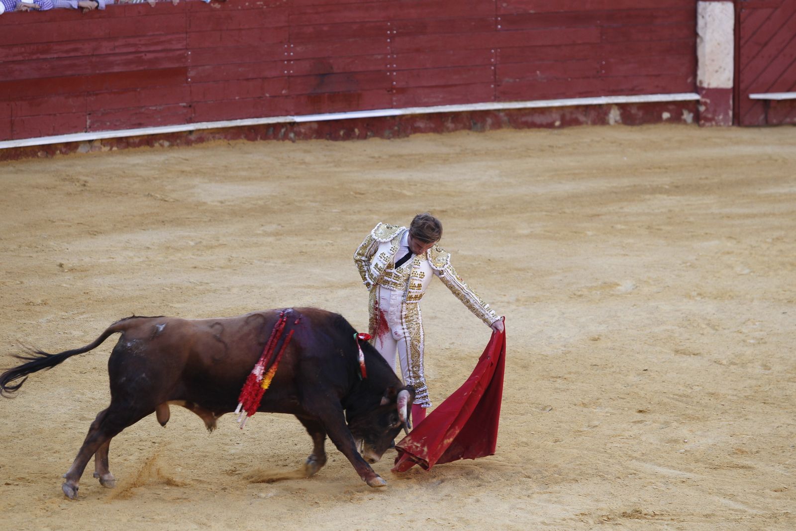 Fotogalería novillada Escuela Taurina de Almería. Feria de Almería 2019
