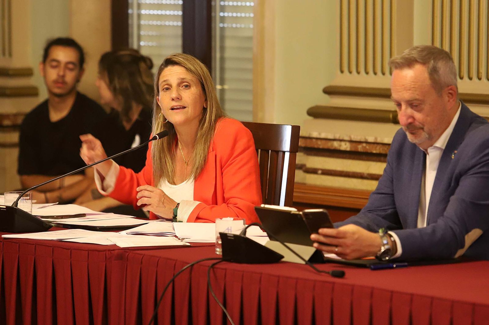 María Villadeamigo durante su intervención en el Pleno.