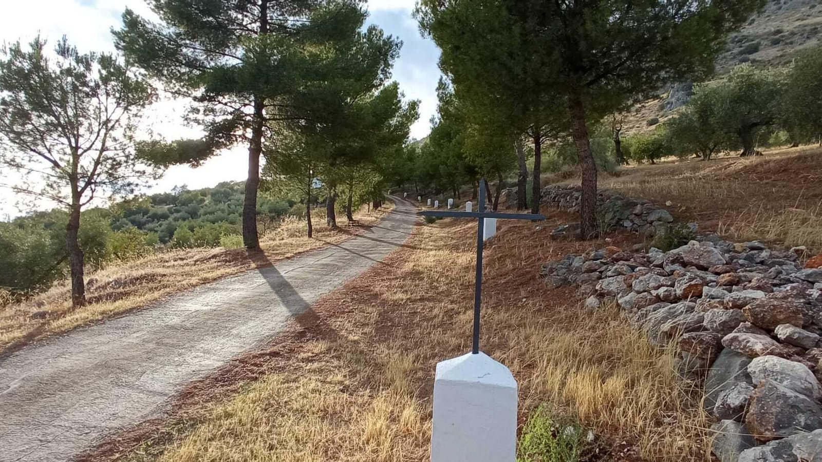 Las imágenes de la Ruta Zagrilla Baja - Esparragal - Zagrilla Baja