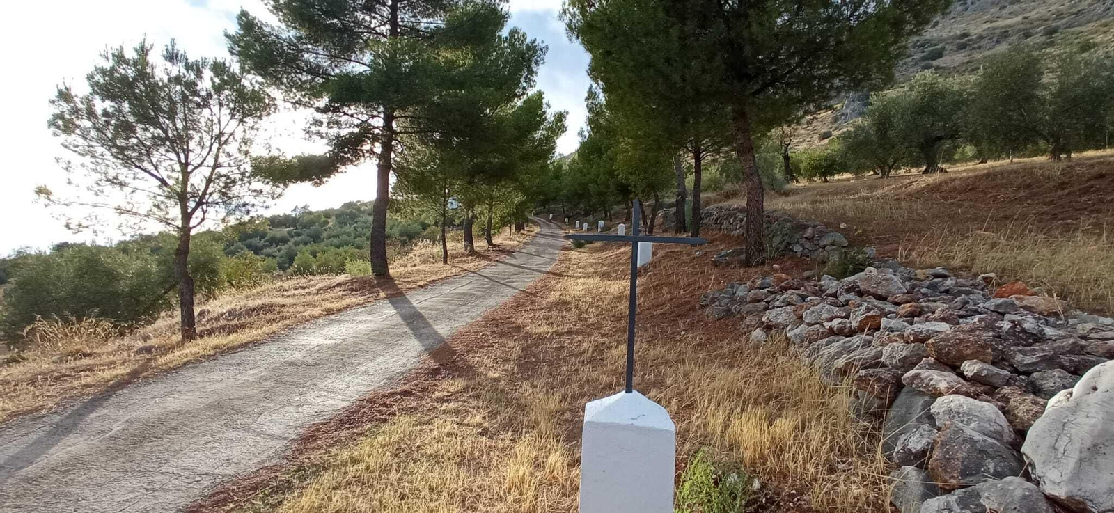 Las imágenes de la Ruta Zagrilla Baja - Esparragal - Zagrilla Baja