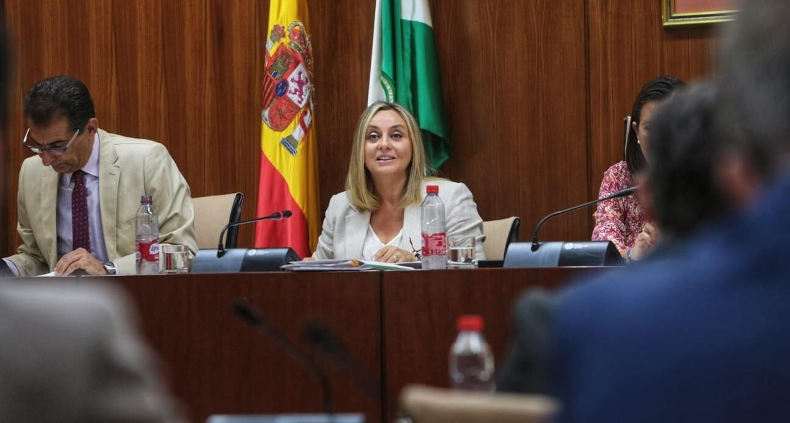 La consejera de Fomento Marifrán Carazo en la comisión de Fomento celebrada este jueves en el Parlamento.