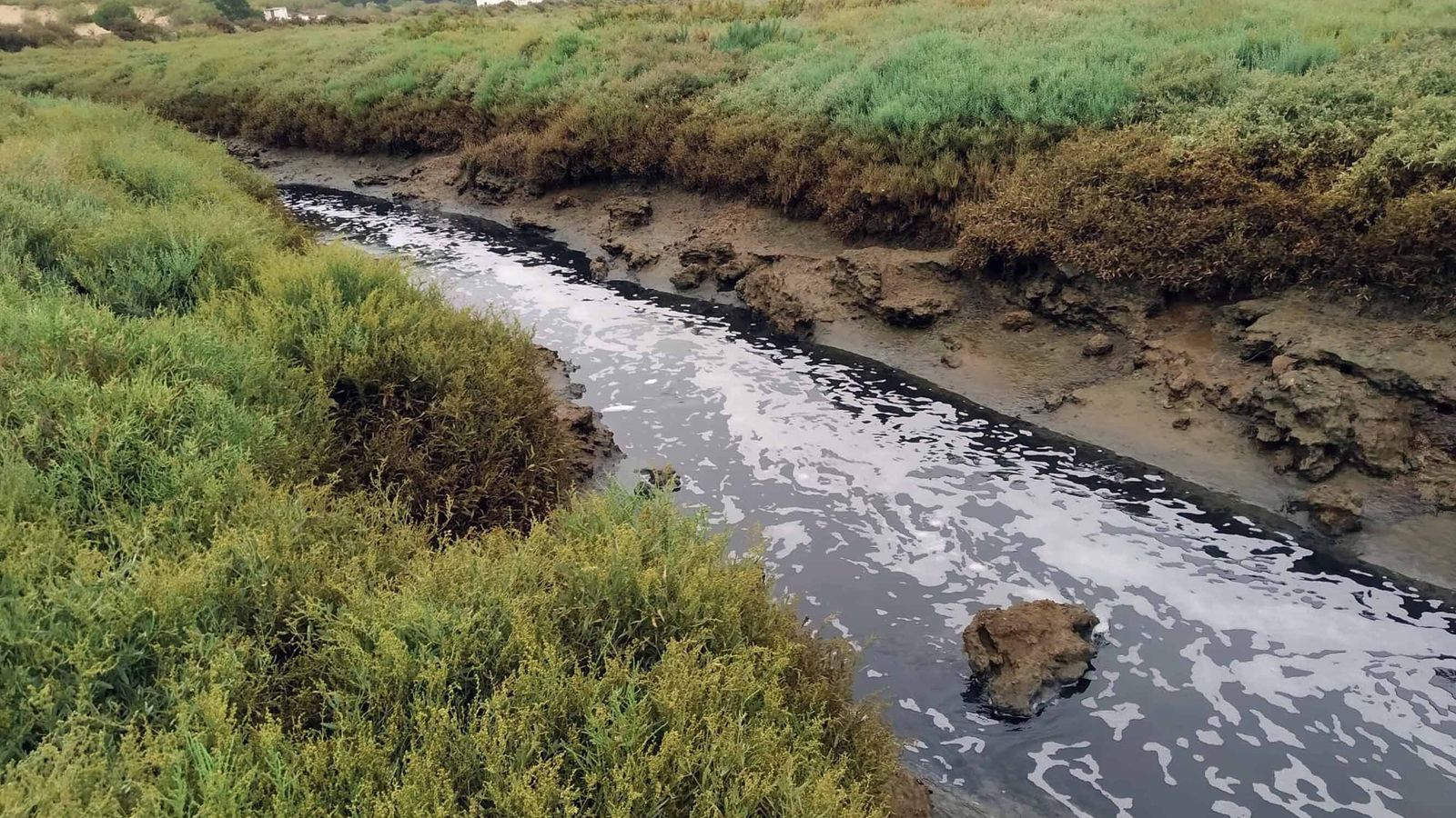 Según los colectivos la situación persiste desde hace ya una década