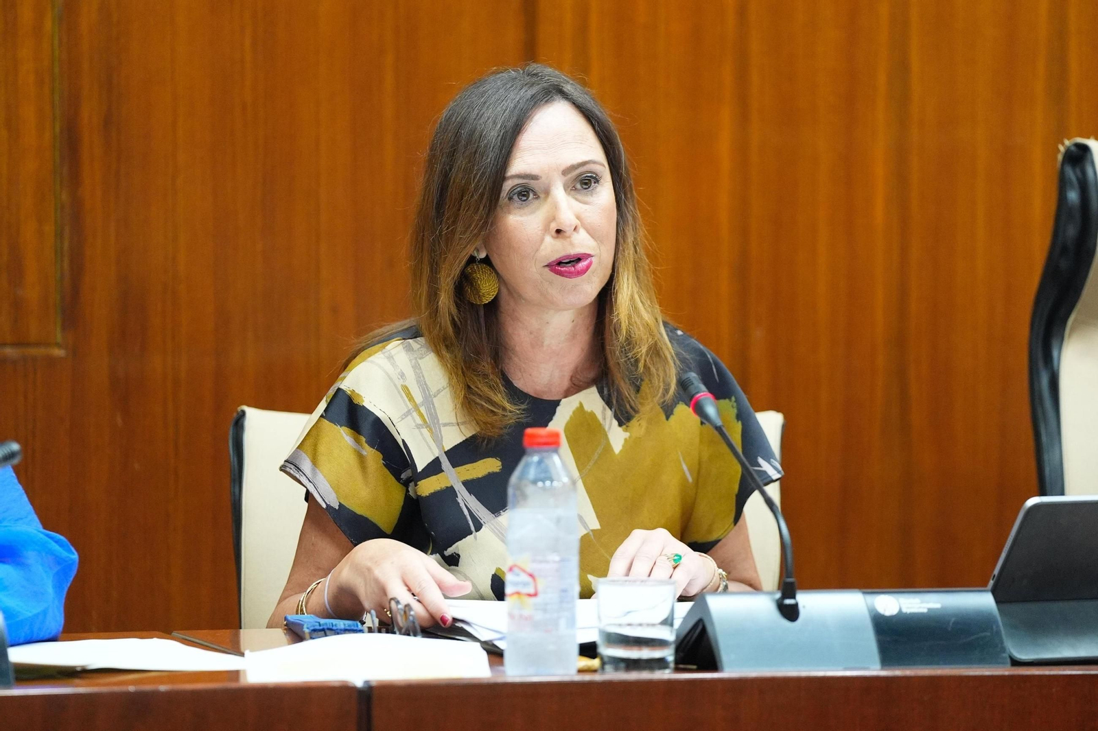 La consejera de Fomento, Rocío Díaz, en la comisión parlamentaria de esta mañana.