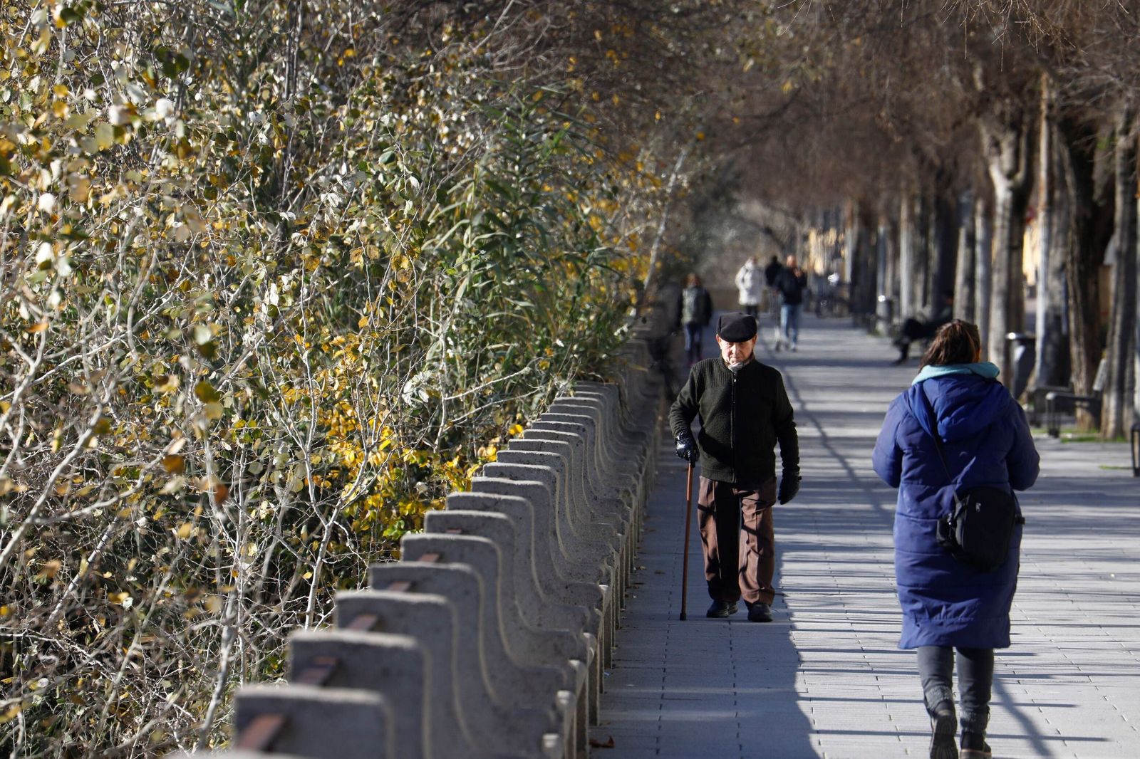 El frío polar llega a Córdoba, en imágenes