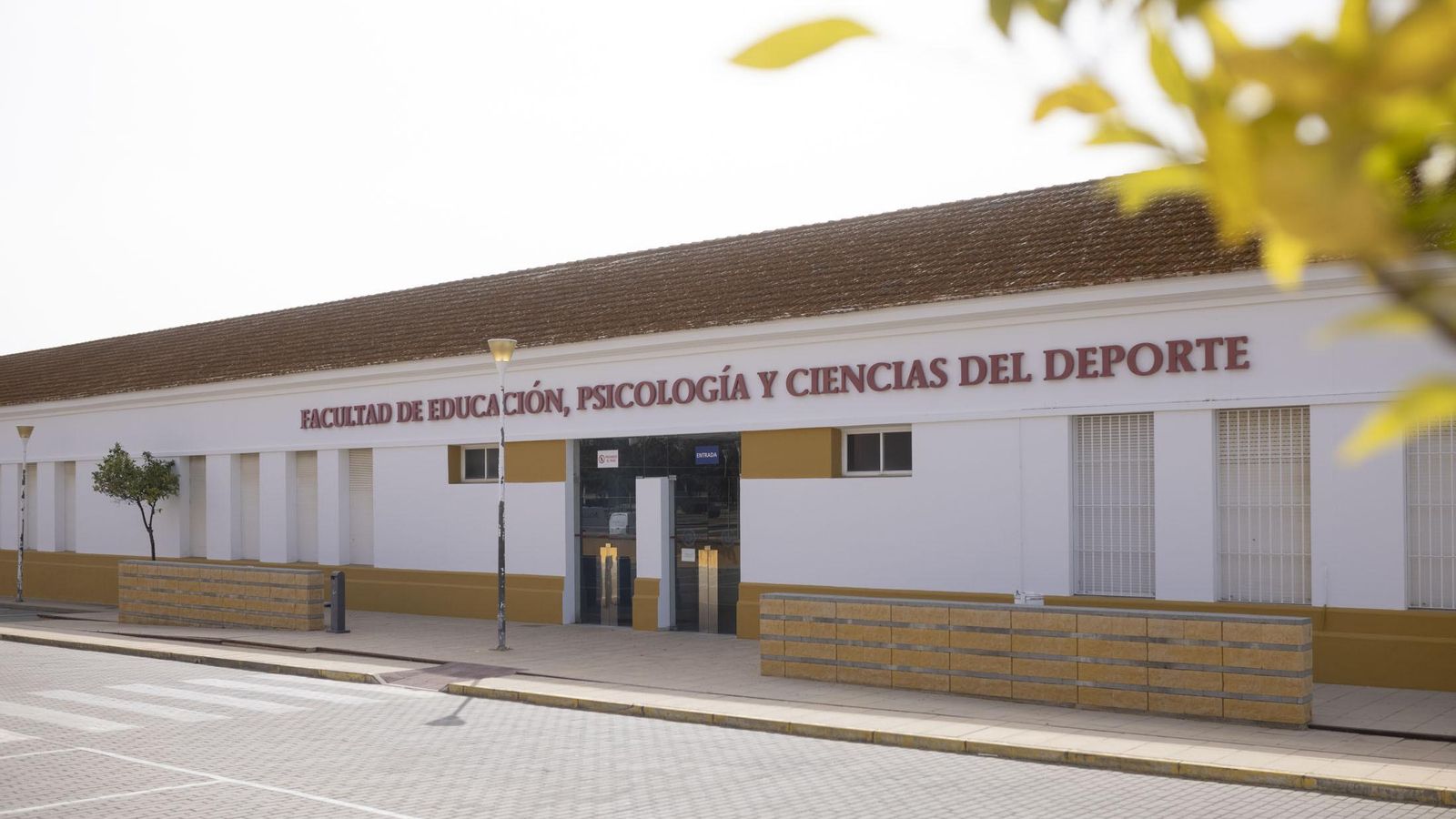 Facultad que acoge los otros dos grados más demandados.