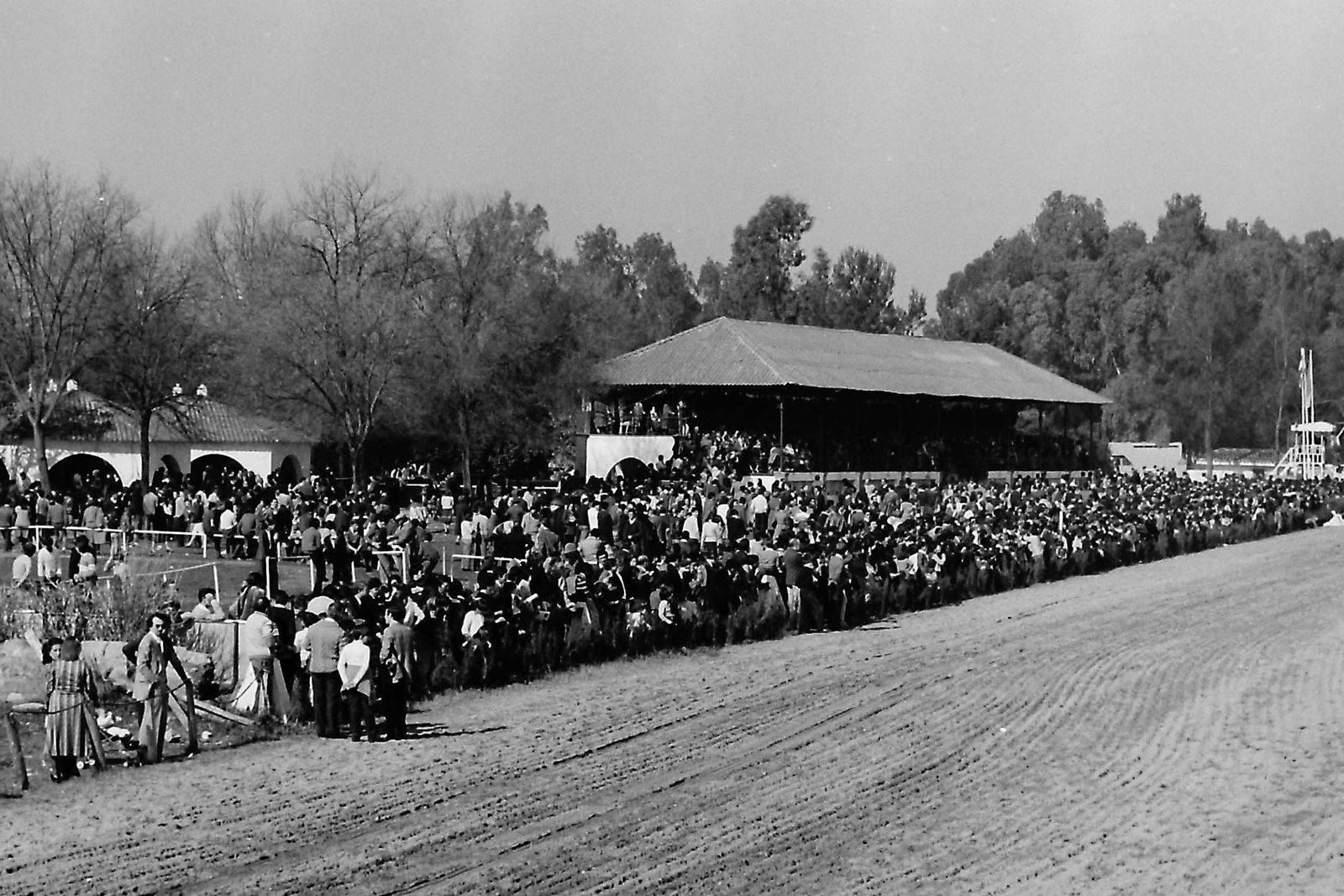 75 aniversario del hipódromo de Pineda