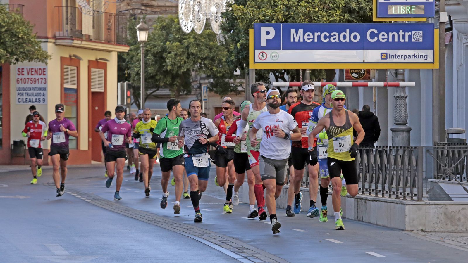 Imágenes de la XXV Media Maratón 'Ciudad de Jerez'