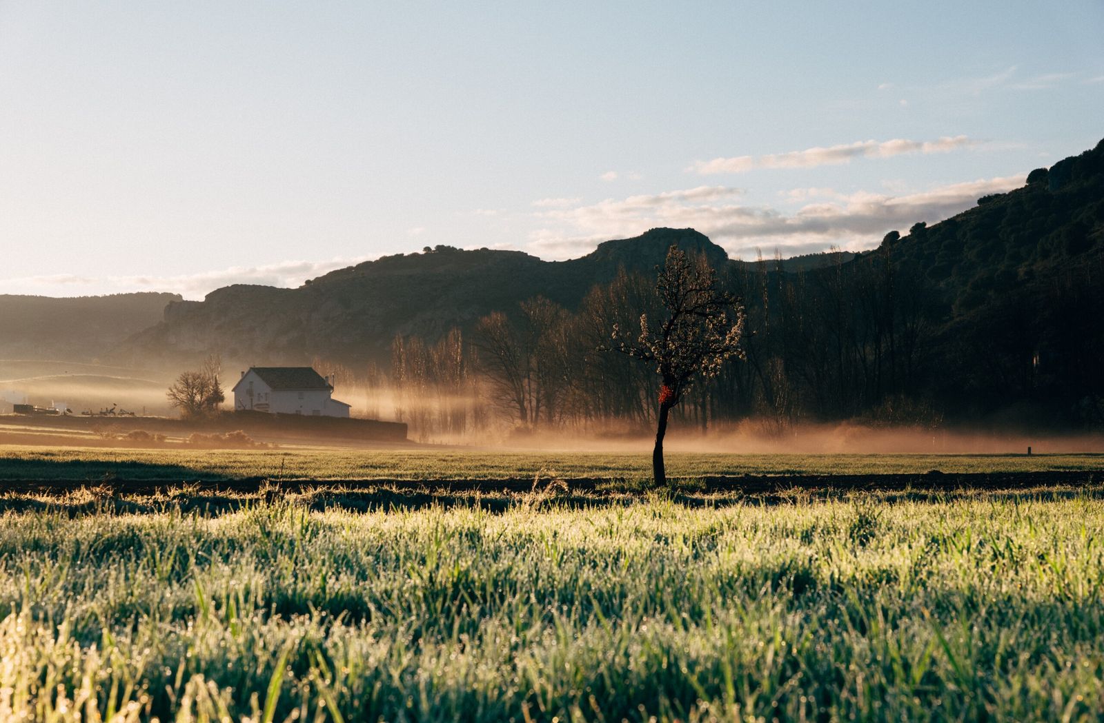Aldeas y campos de la Sierra de Segura, envueltos en la niebla matinal, donde el ritmo de la vida rural marca el paisaje y el invierno dibuja escenas de calma absoluta.
