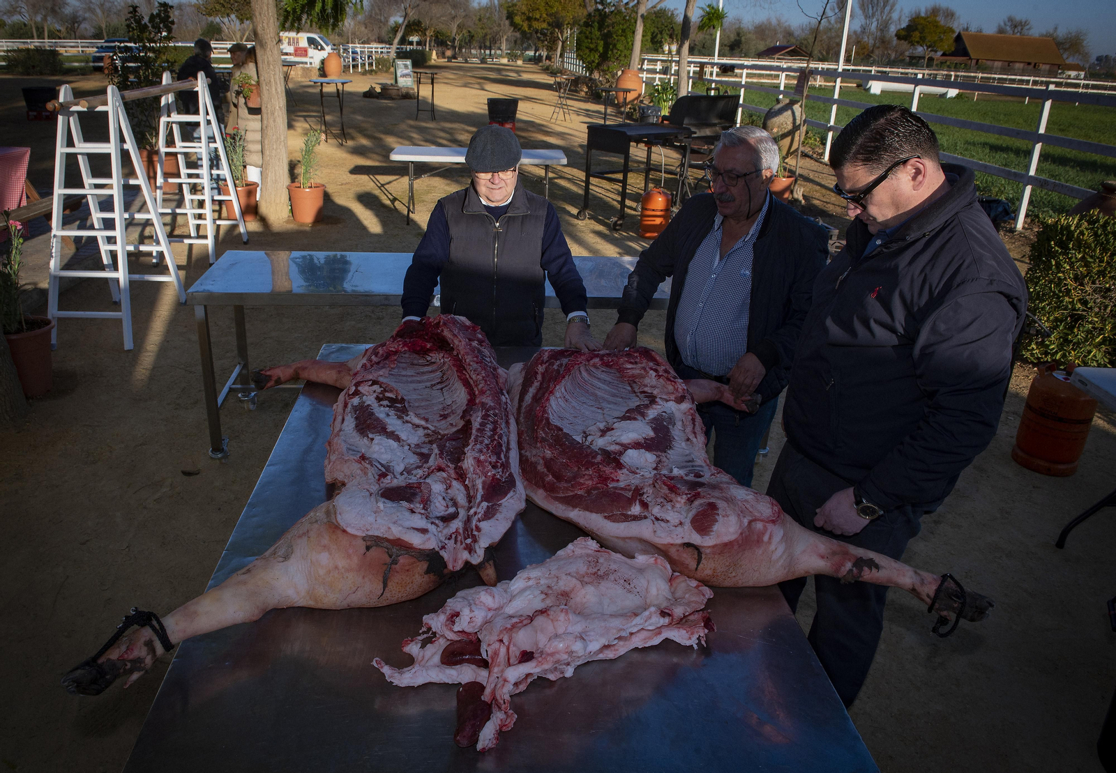 Un día de matanza en una finca sevillana