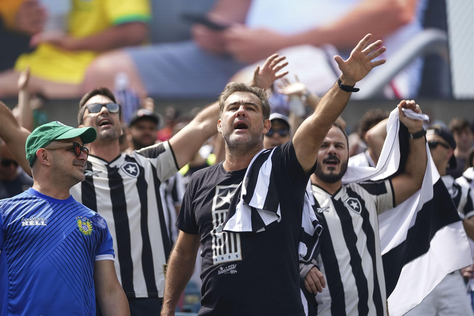 Palmeiras-Botafogo (46).jpg