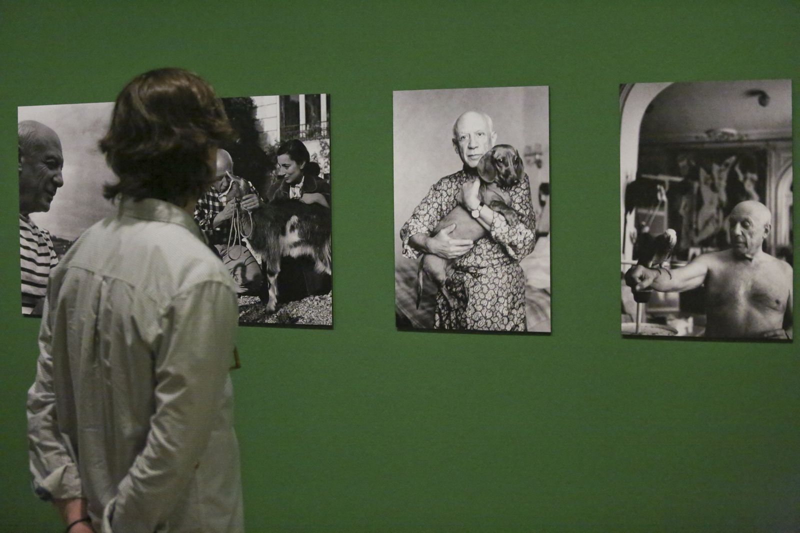 Último día para 'El bestiario de Picasso''Jajejijojú'El don apacible (I y II)Low Brass QuartetViviendo JapónTeatro Lírico AndaluzTardes de SwingBlancanievesFiesta del monfíOktoberfestFood trucks Xperience