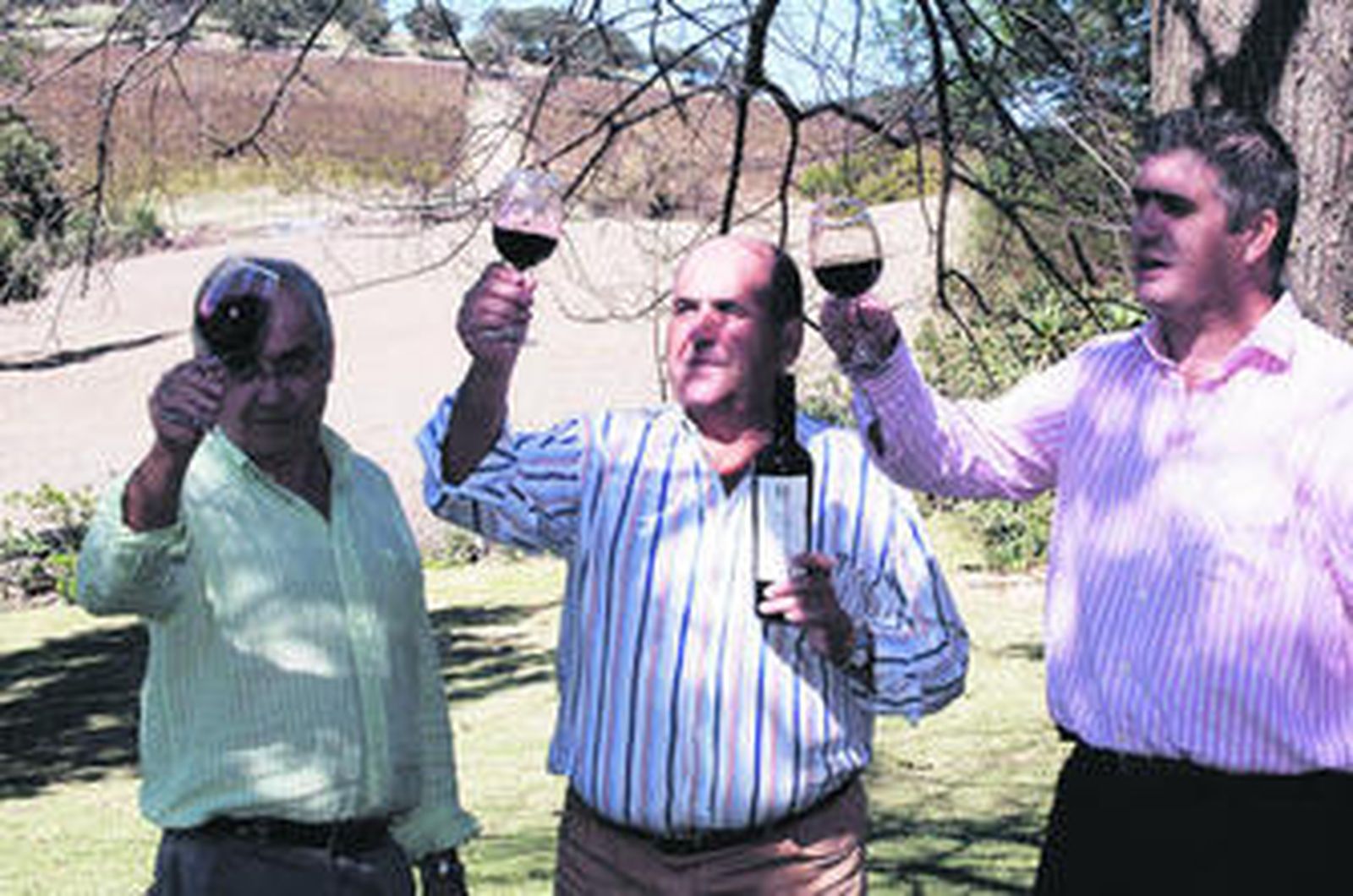El director de la Estación Enológica, el propietario de la viña Dehesa Palomino y el delegado de Agricultura, supervisan el primer vino de la cosecha.