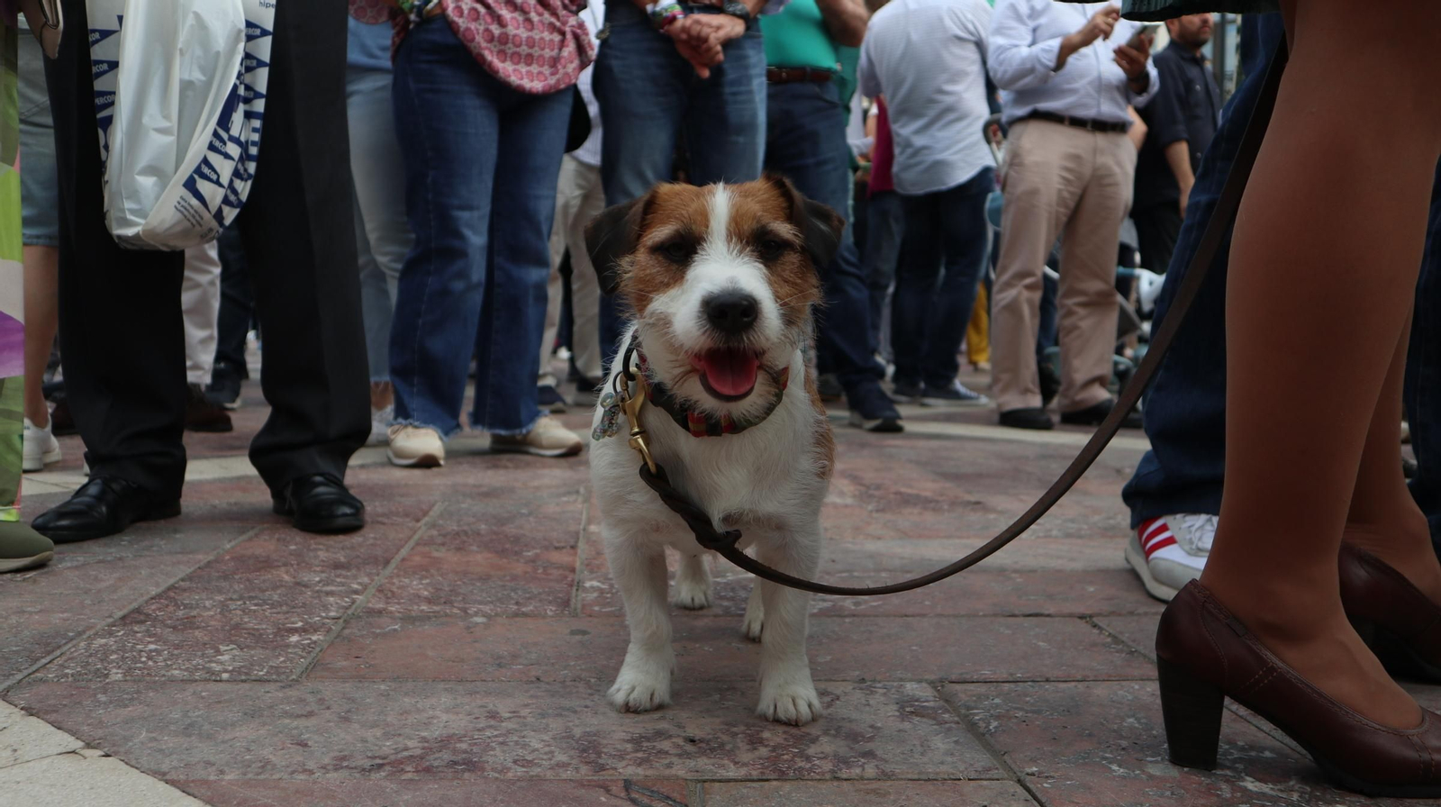 Imágenes de la concentración por las infraestructuras para Huelva