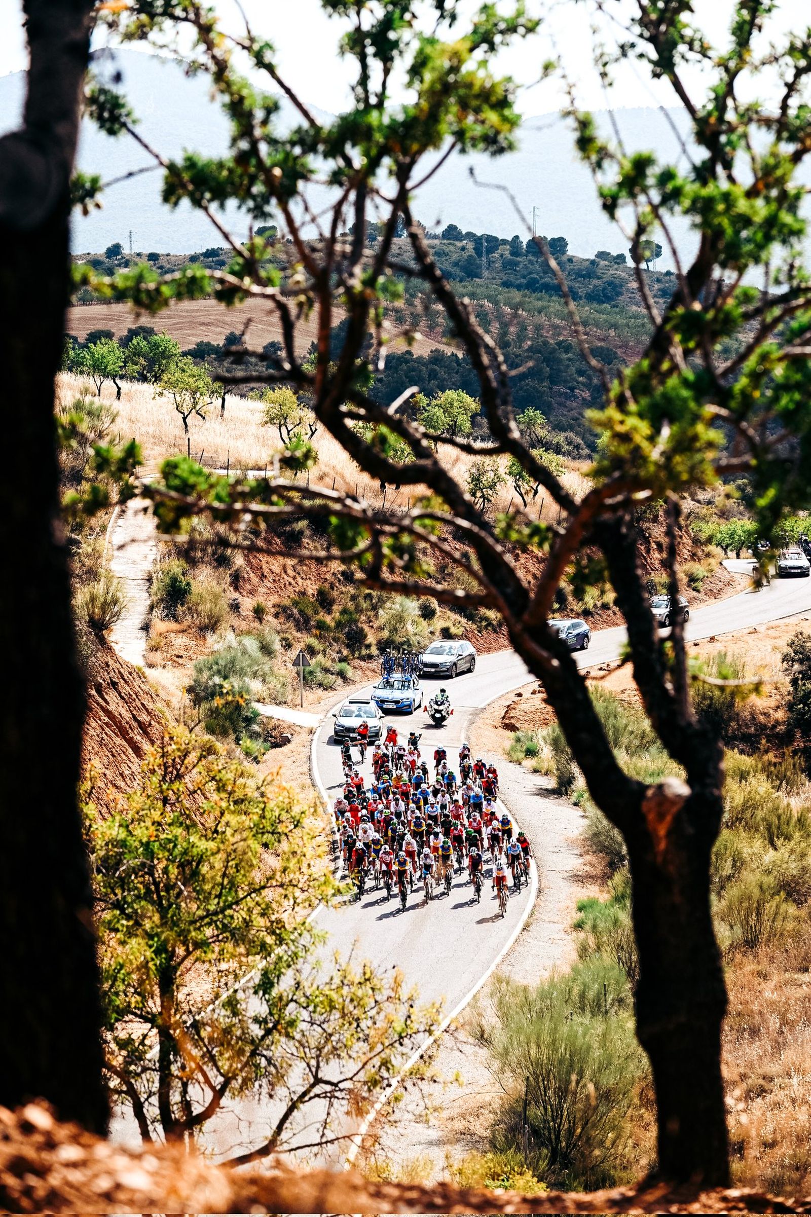 Las imágenes de los Campeonatos de España de Ciclismo en Granada