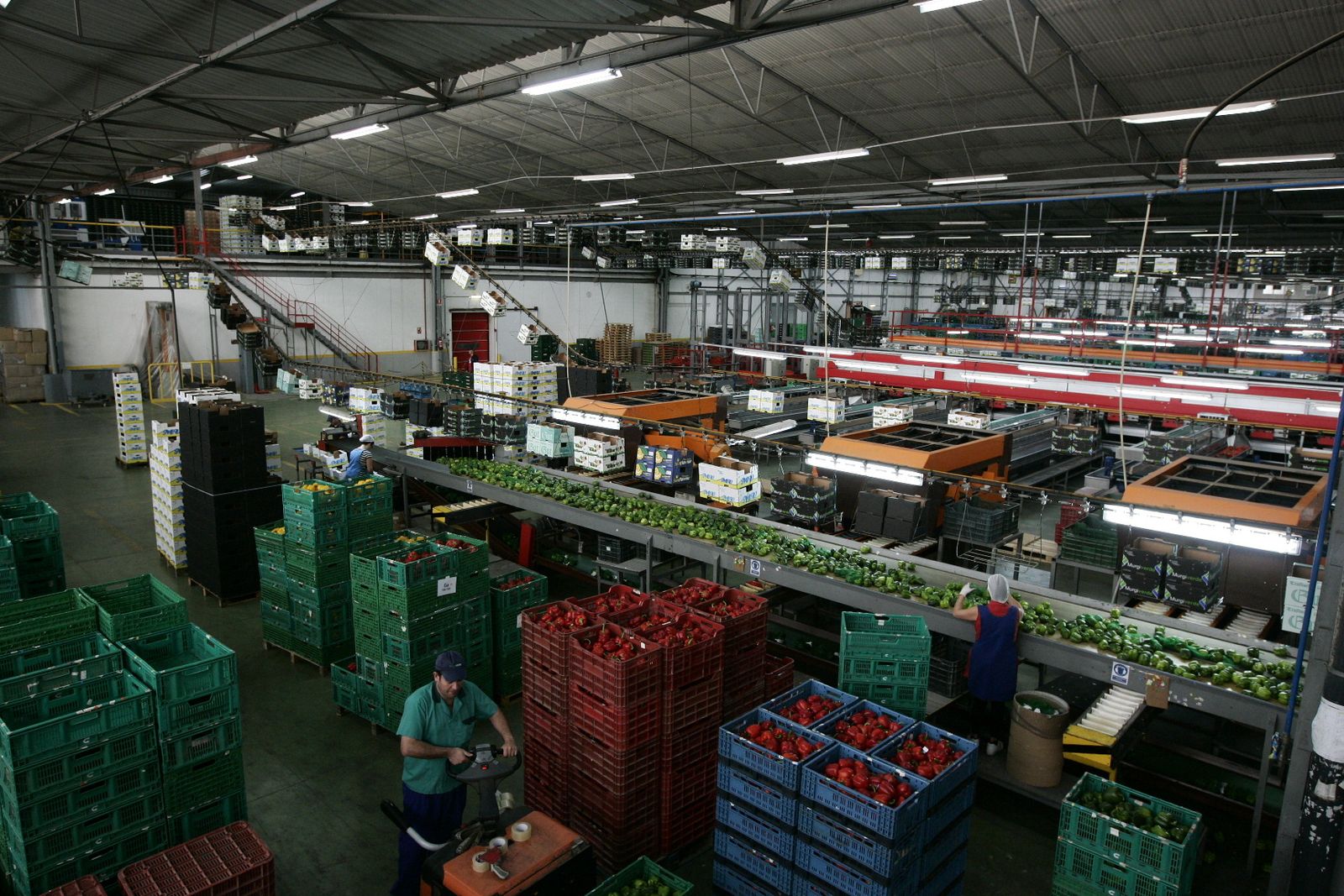 El sector hortofrutícola, el más sancionado del ámbito agroalimentario.